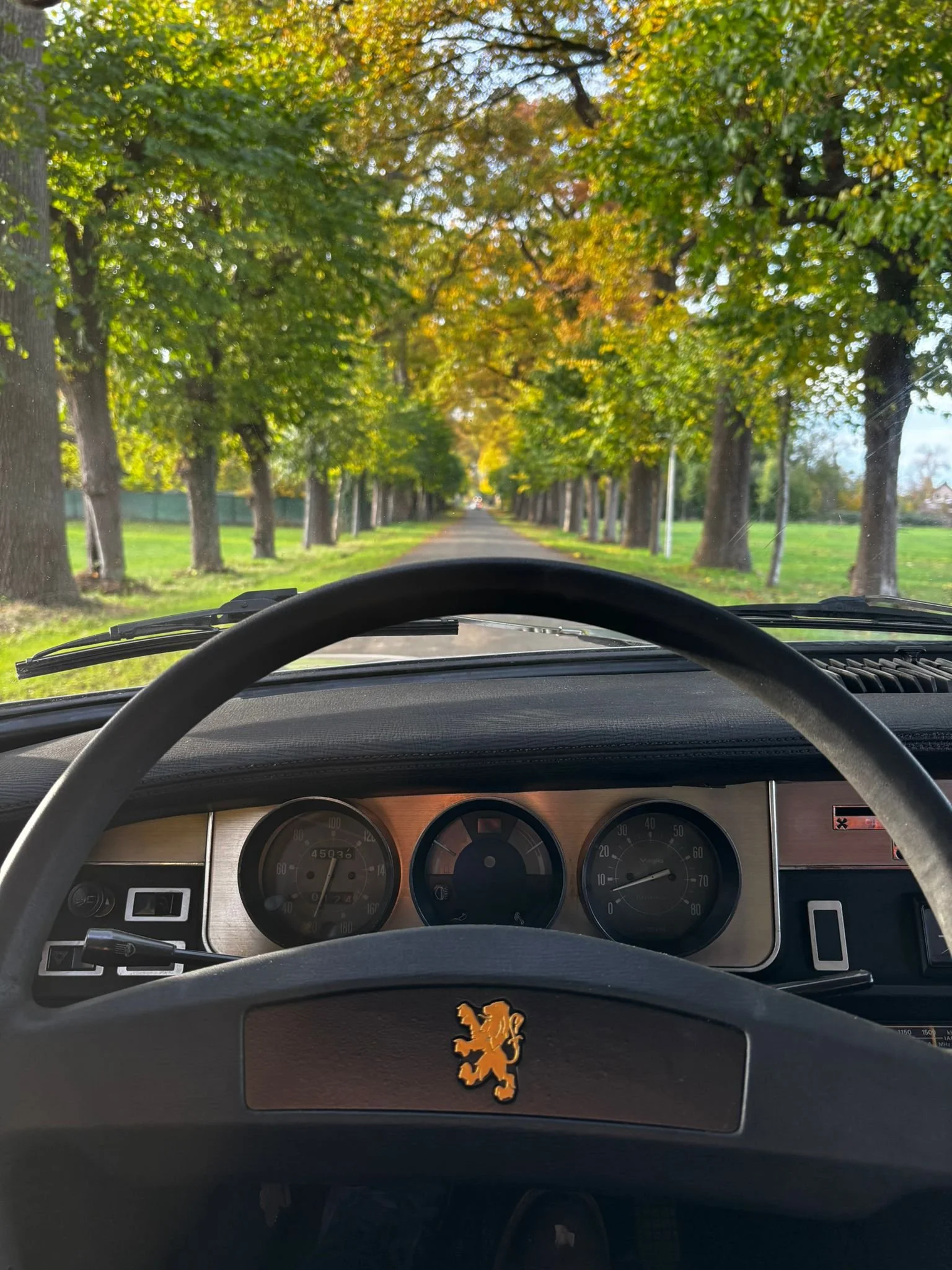 WhatsApp Image 2025-11-05 at 17.29.48 (4).jpeg