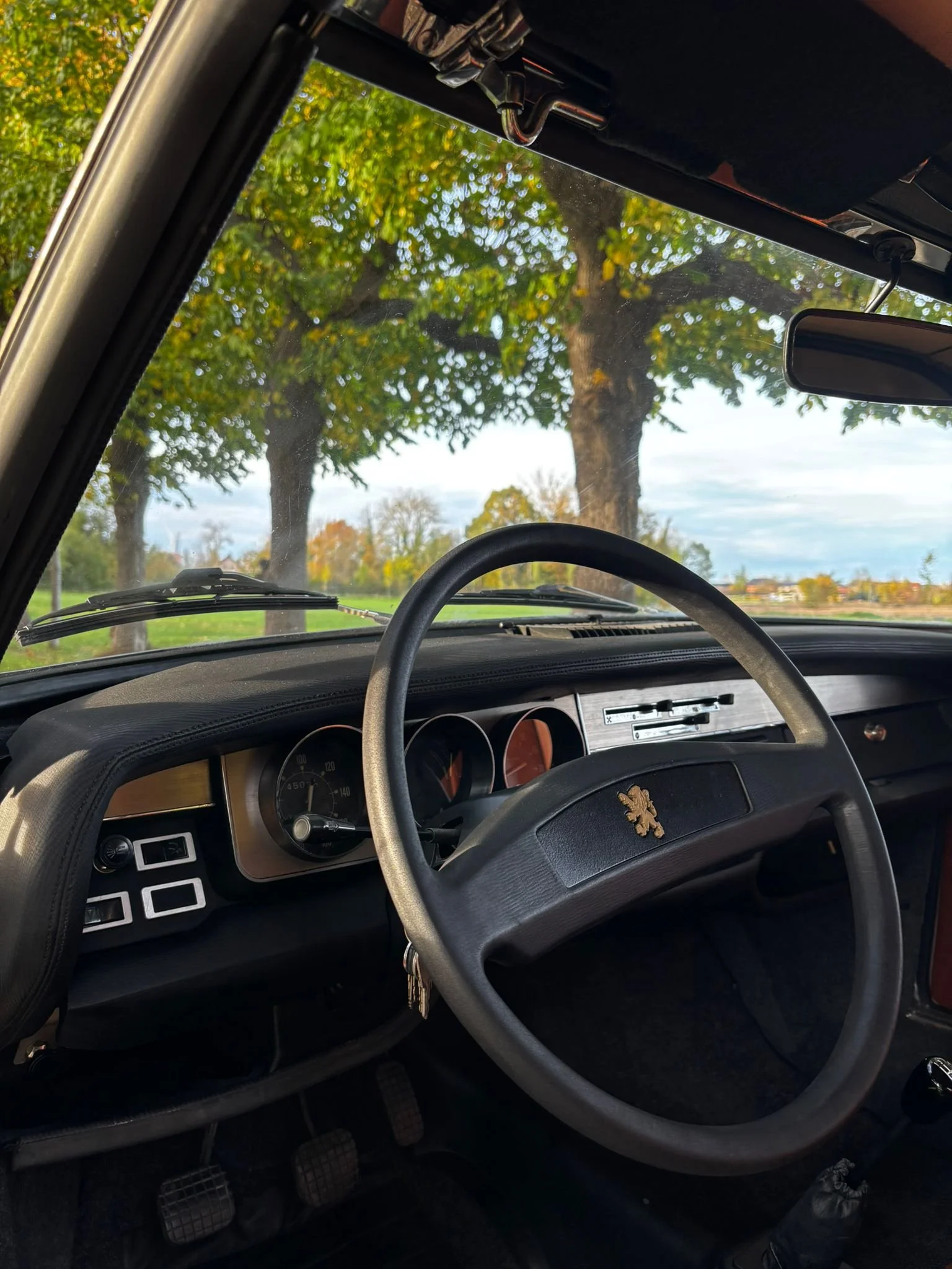 WhatsApp Image 2025-11-05 at 17.29.48 (2).jpeg