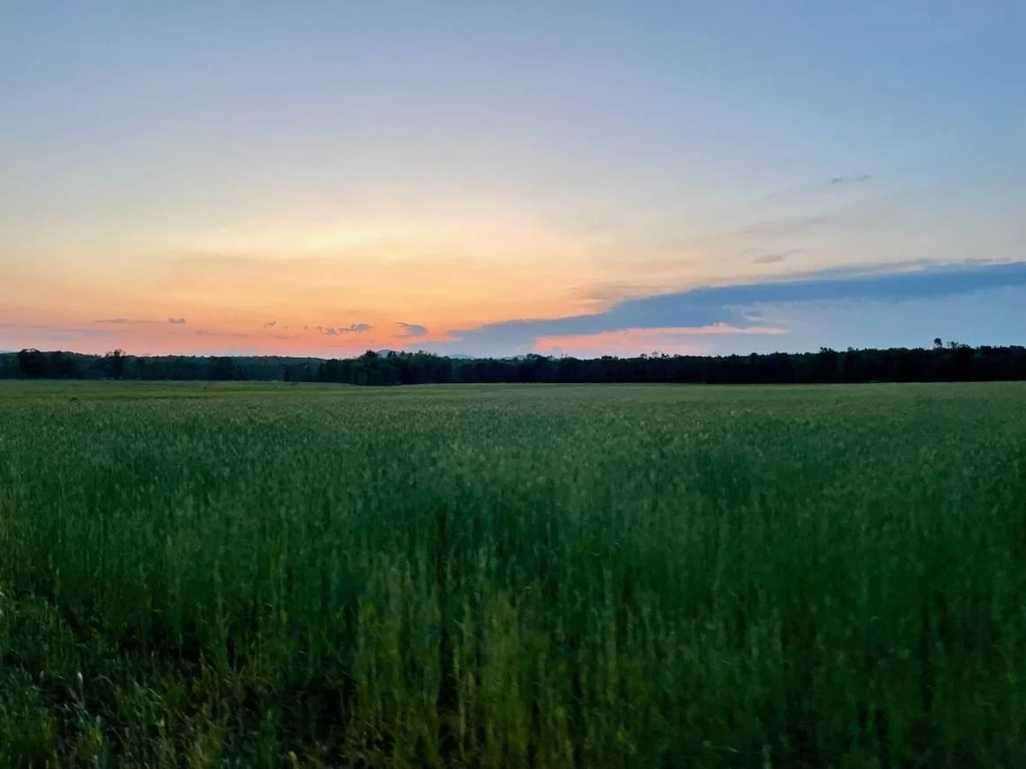 Farm Tour