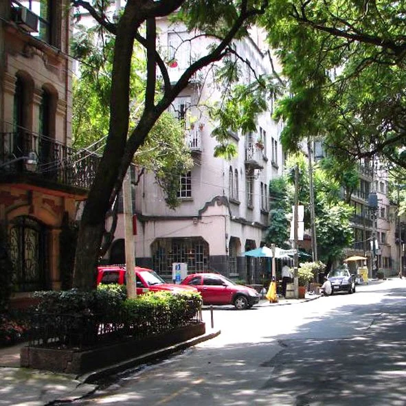 City street with parked cars, trees, and buildings, some with balconies, during the daytime, in La Condesa Neighbourhood, Mexico City.