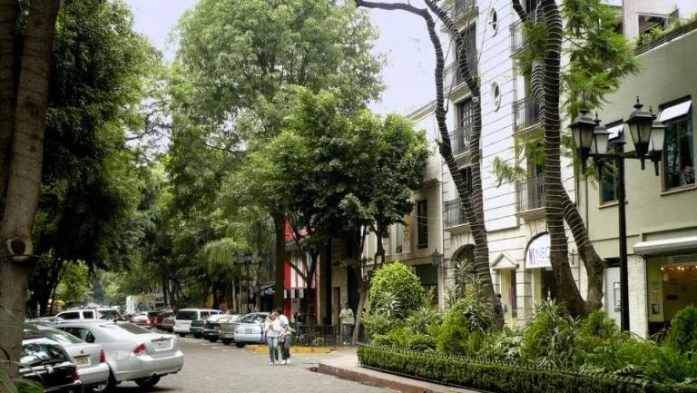 Street view with parked cars, pedestrians, lush green trees, and buildings with street lamps, in La Condesa Neighbourhood, Mexico City.