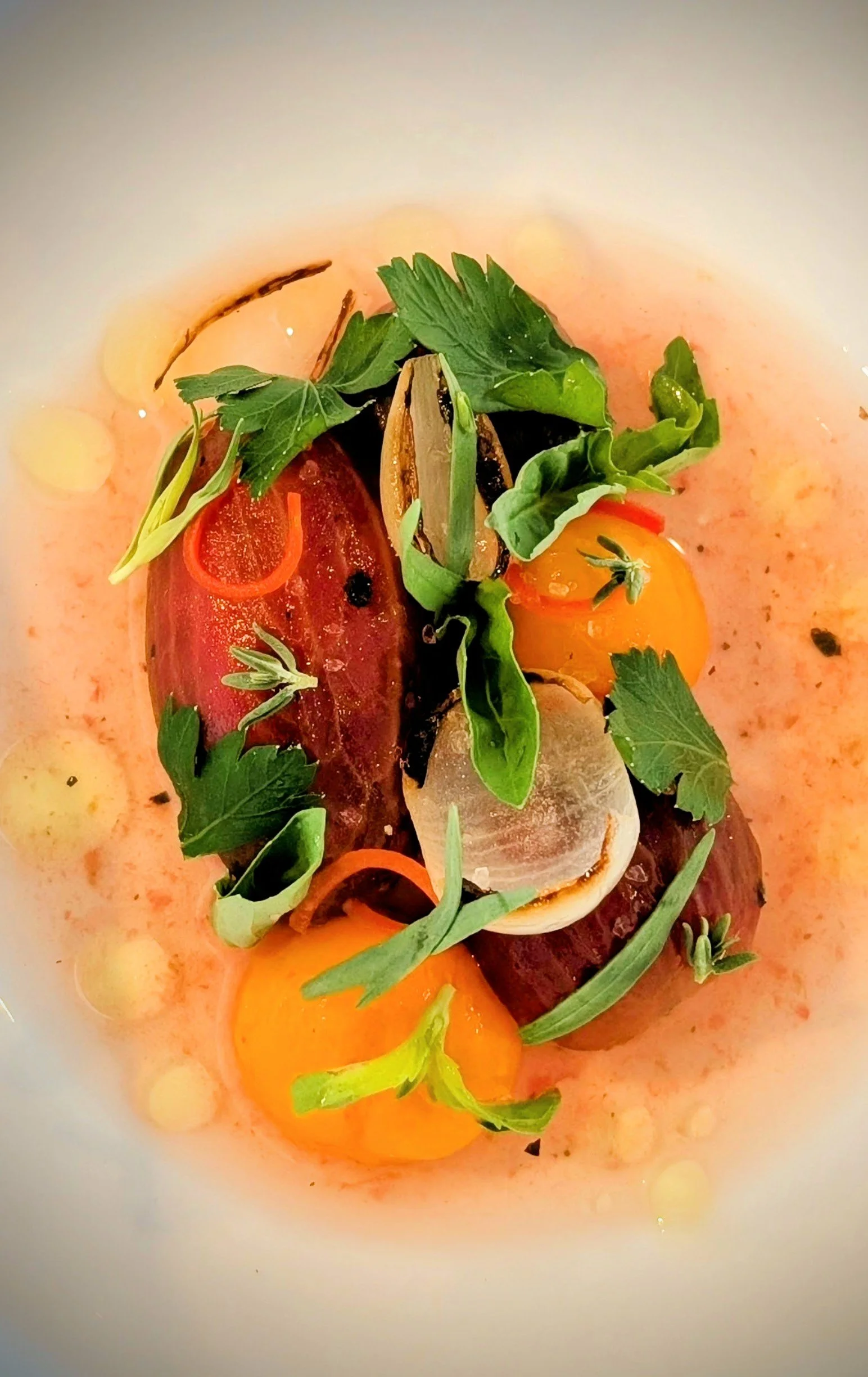 Close-up of a cooked dish with cherry tomatoes, fresh herbs, green leaves, and a creamy, orange-colored sauce.