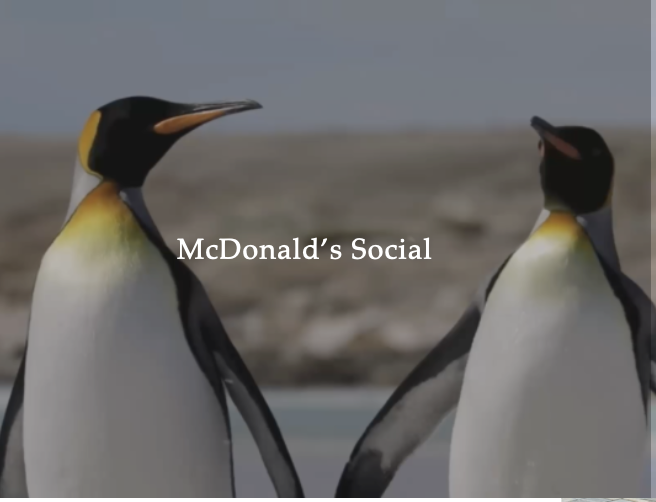 Screenshot 2026-01-14 at 17.37.59.png