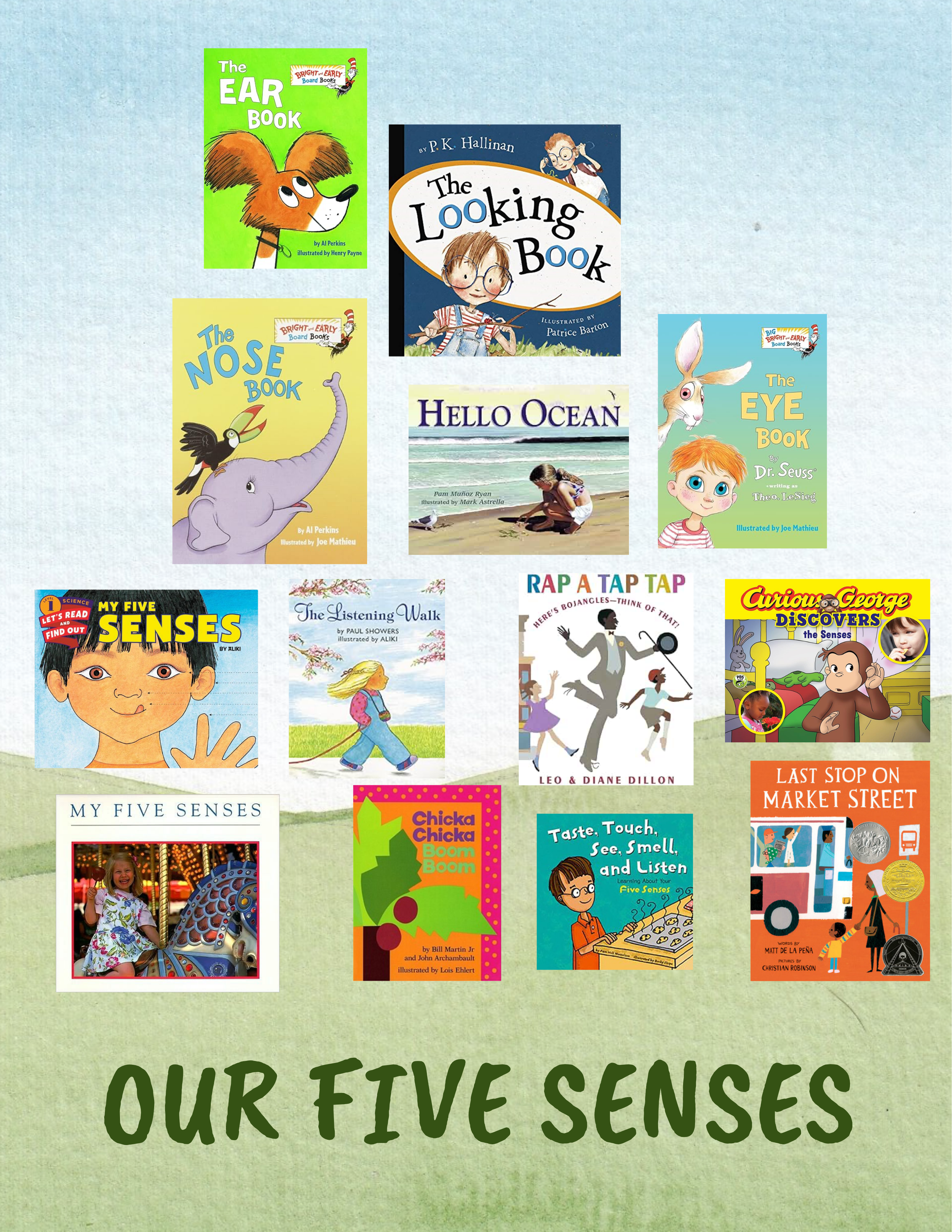 Our 5 Senses