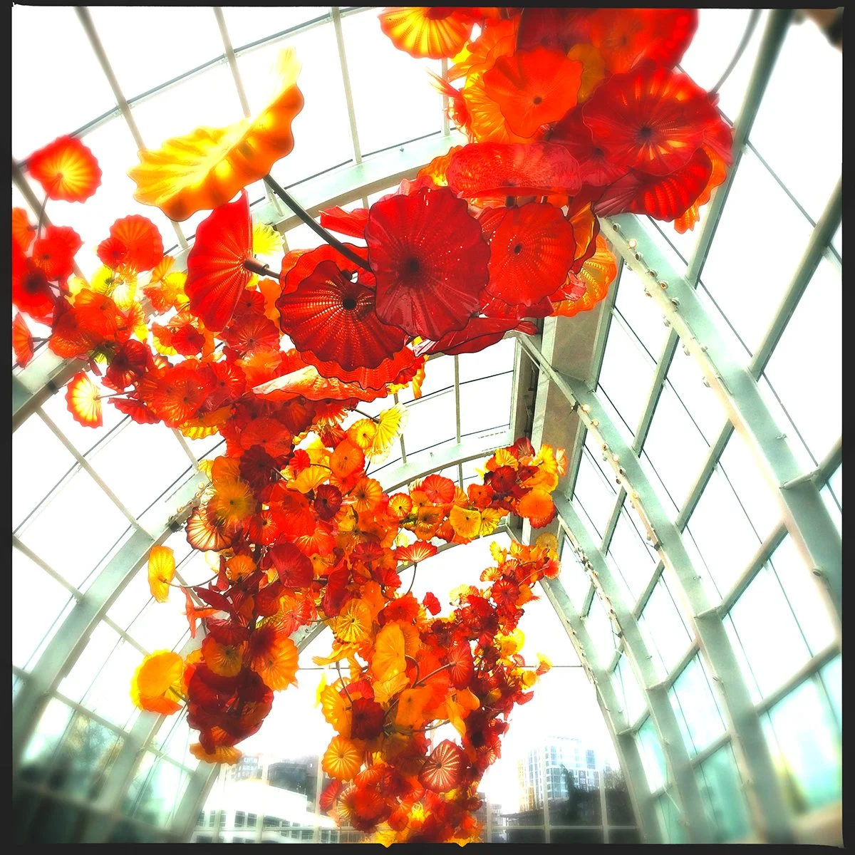 Chihuly Glasshouse 2017.jpg