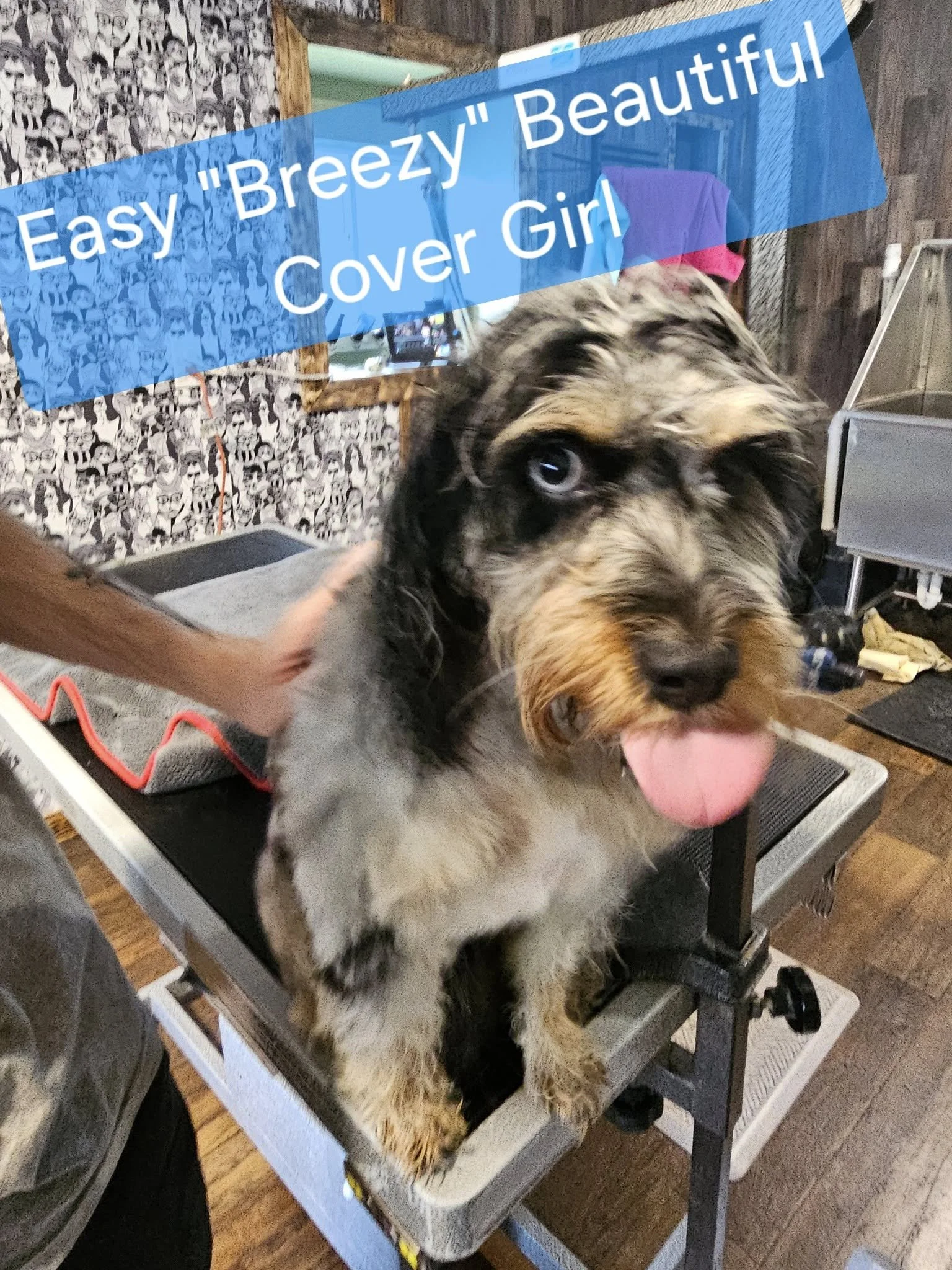 2025 Client Photo.jpg