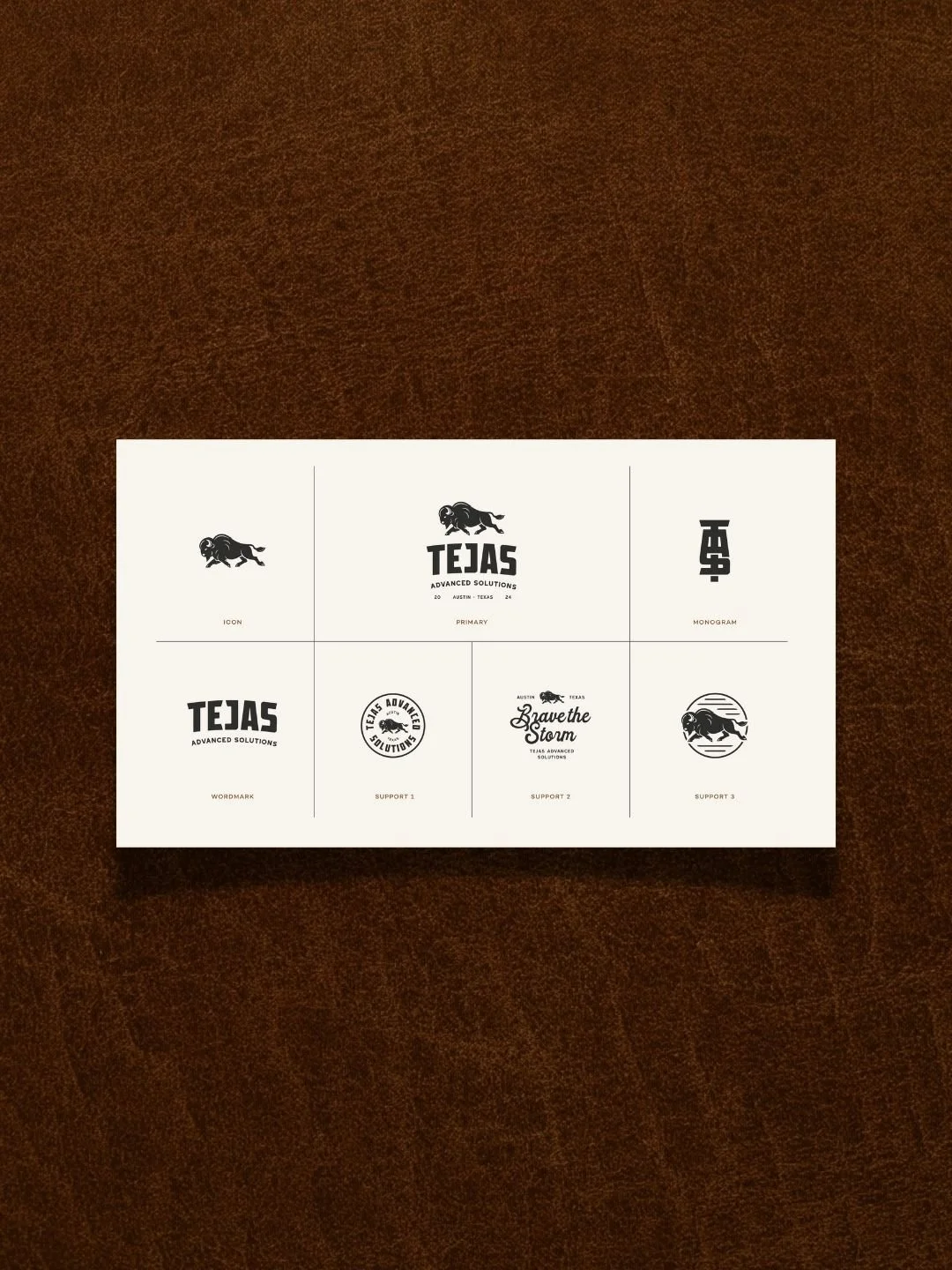 Tejas Advanced Solutions_Ella Creative Studio (5).jpg