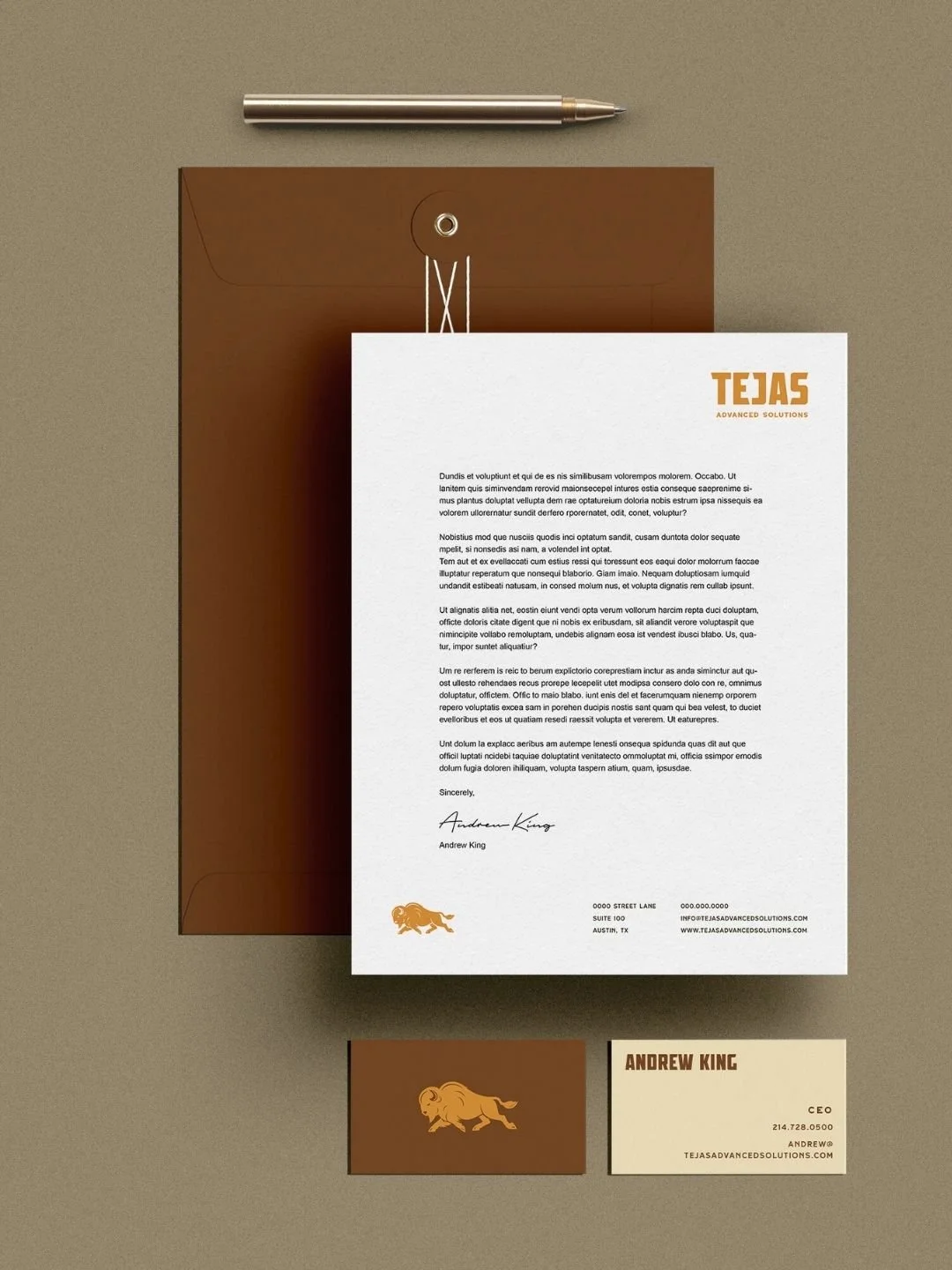 Tejas Advanced Solutions_Ella Creative Studio.jpg