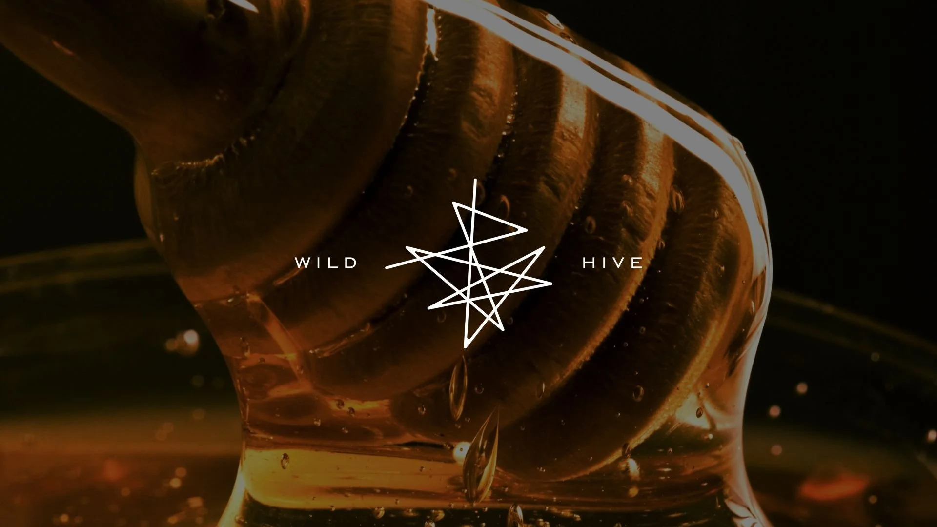WILD HIVE