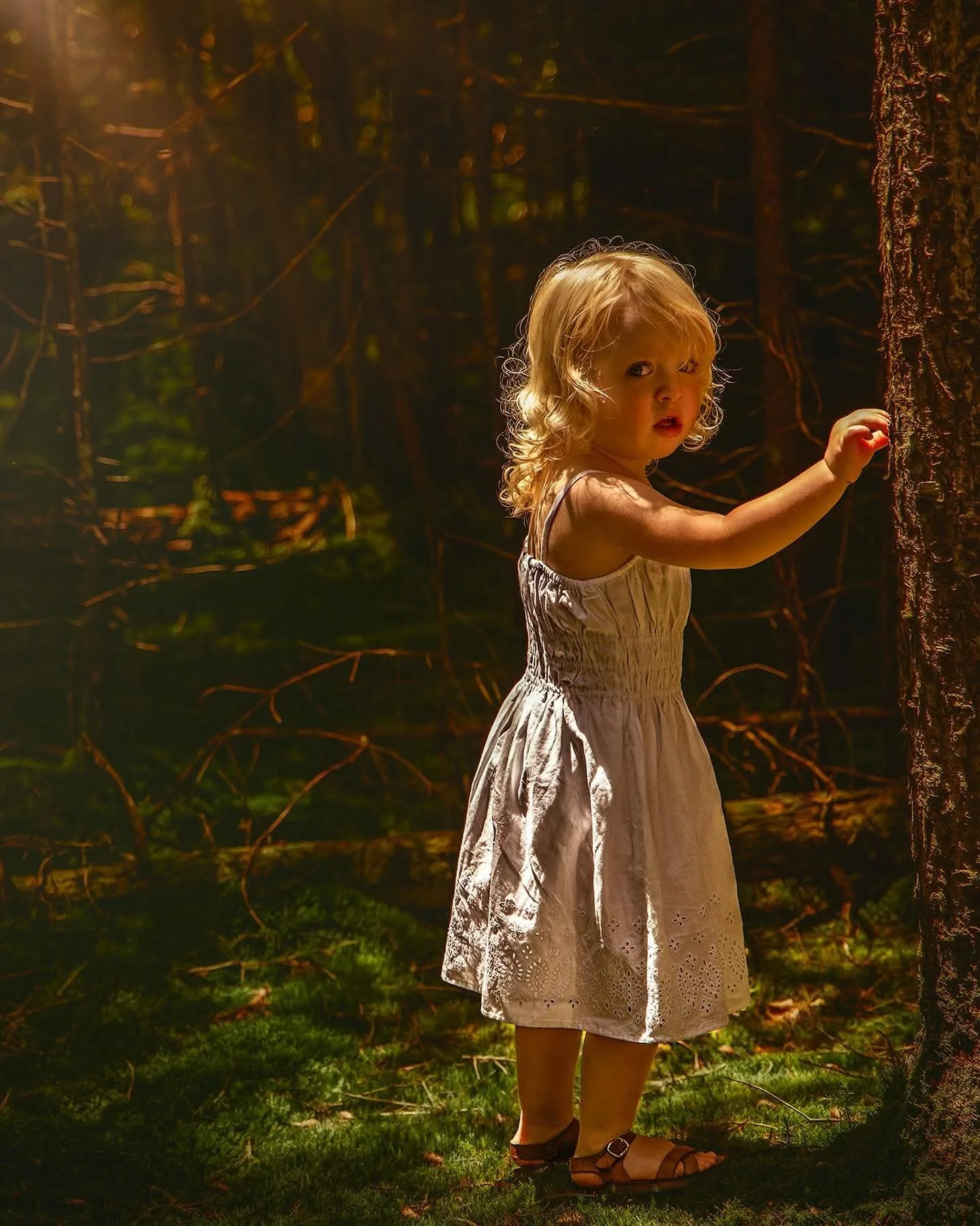 A young girl with curly hair and a dress stands in a forest, touching a tree and looking back over her shoulder.