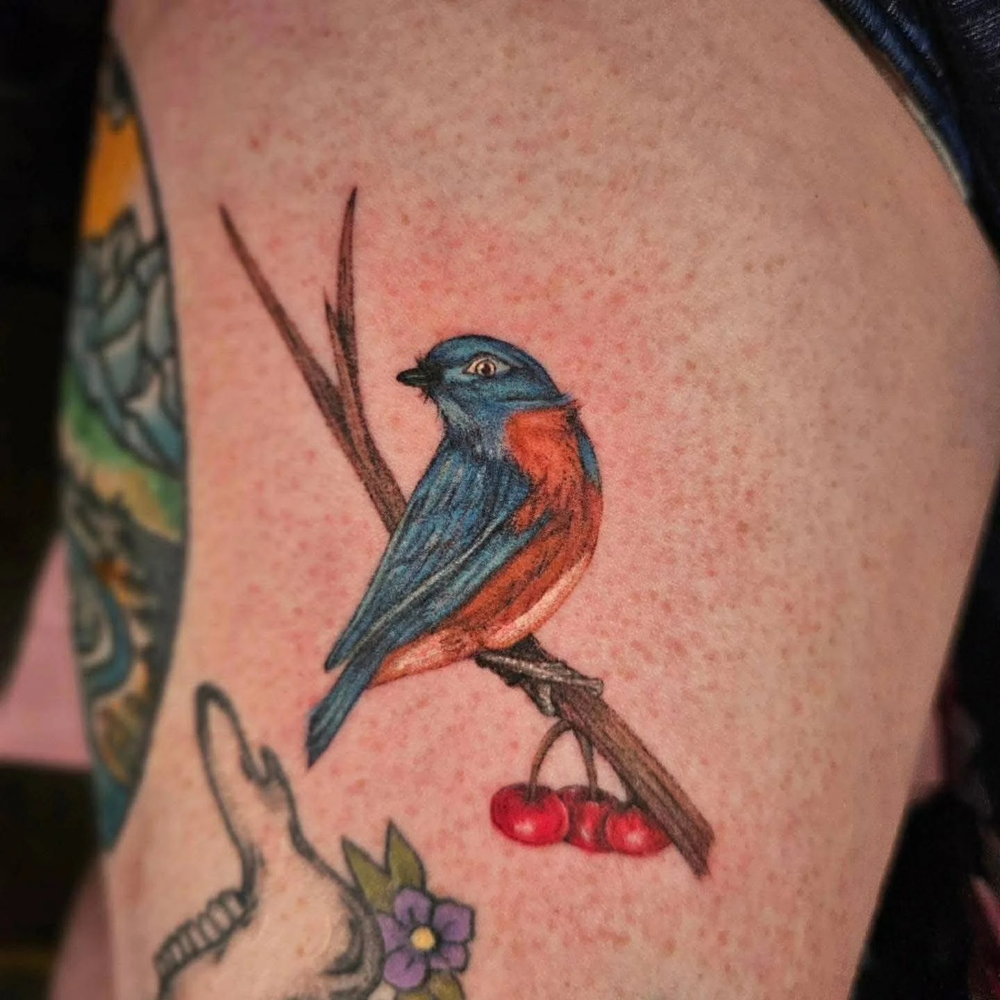 A painterly style tattoo of an eastern blue bird sitting on a branch with berries dangling below.
