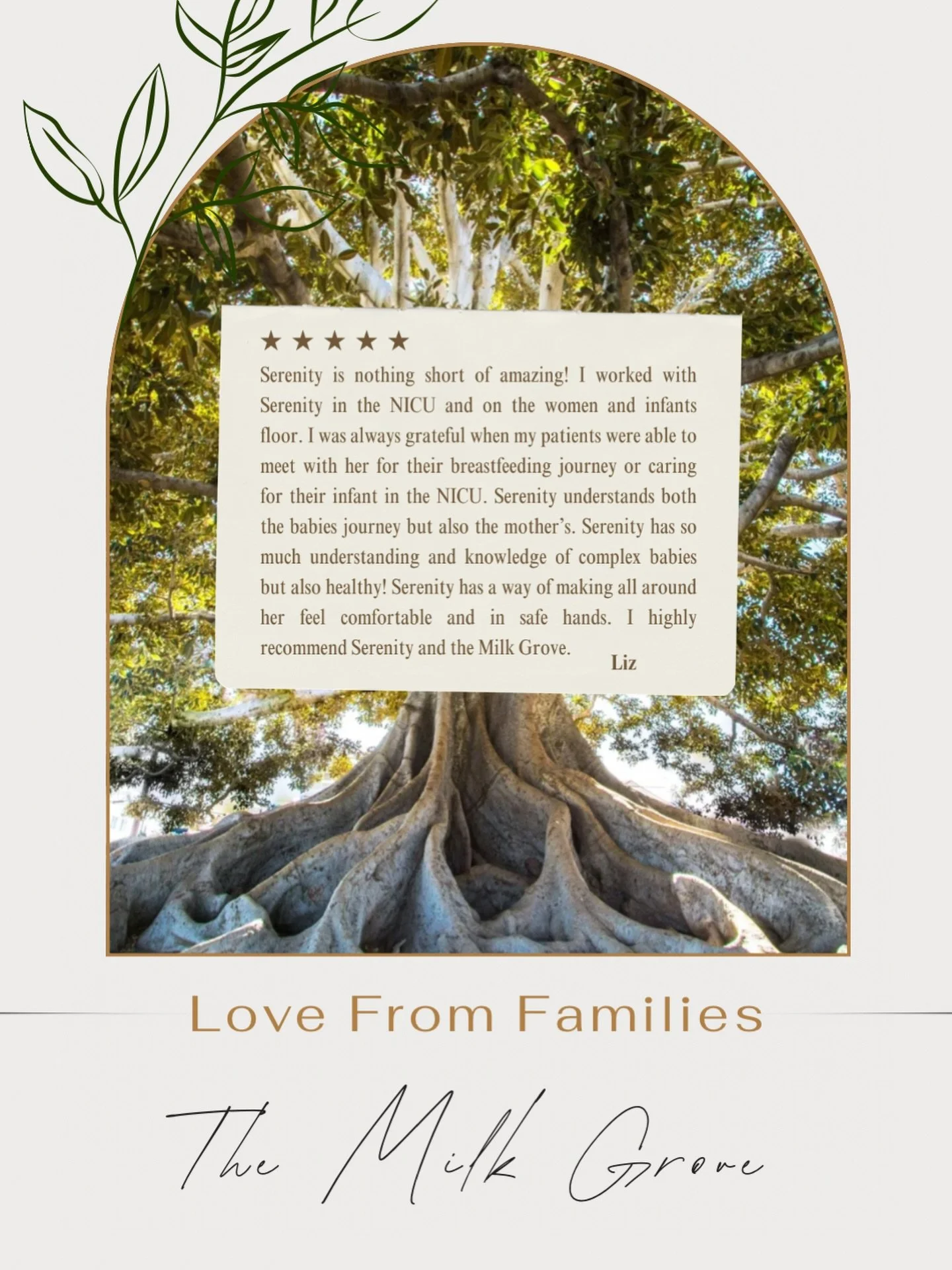 It&rsquo;s SO important to have a wide knowledge base of both mom &amp; baby&hellip;.my case management friends get it 😉#themilkgrove #lactationconsultant #doula #postpartum