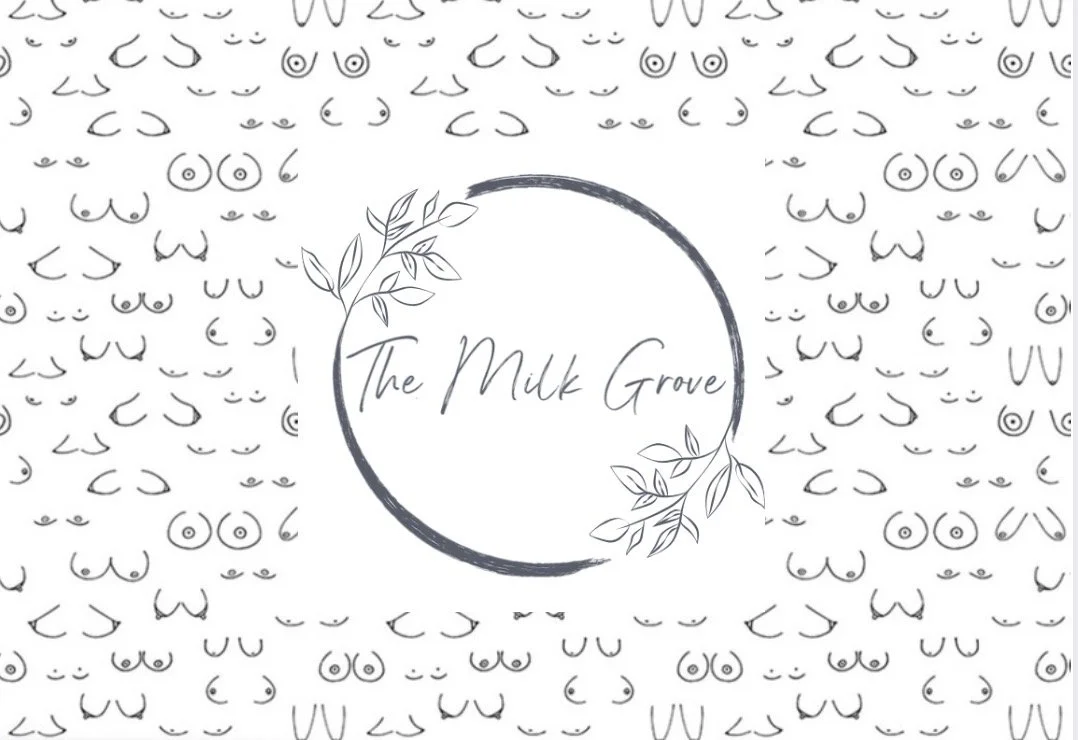 Breastfeeding Basics