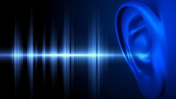 Senior Project Part 4: Conducting the Survey and the Resulting Data