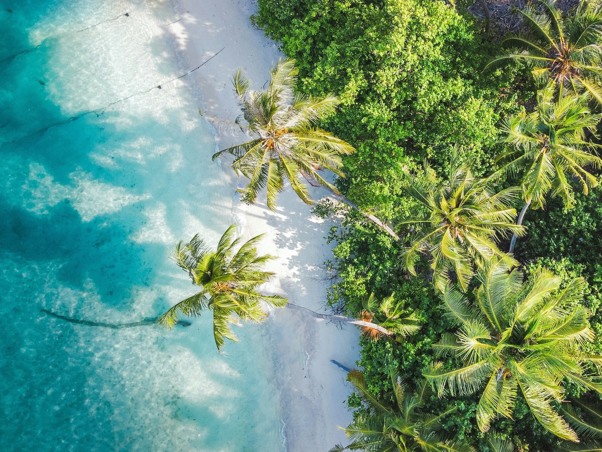  aerial view of a tropical beach with white sand, turquoise water, and lush green palm trees along the shoreline