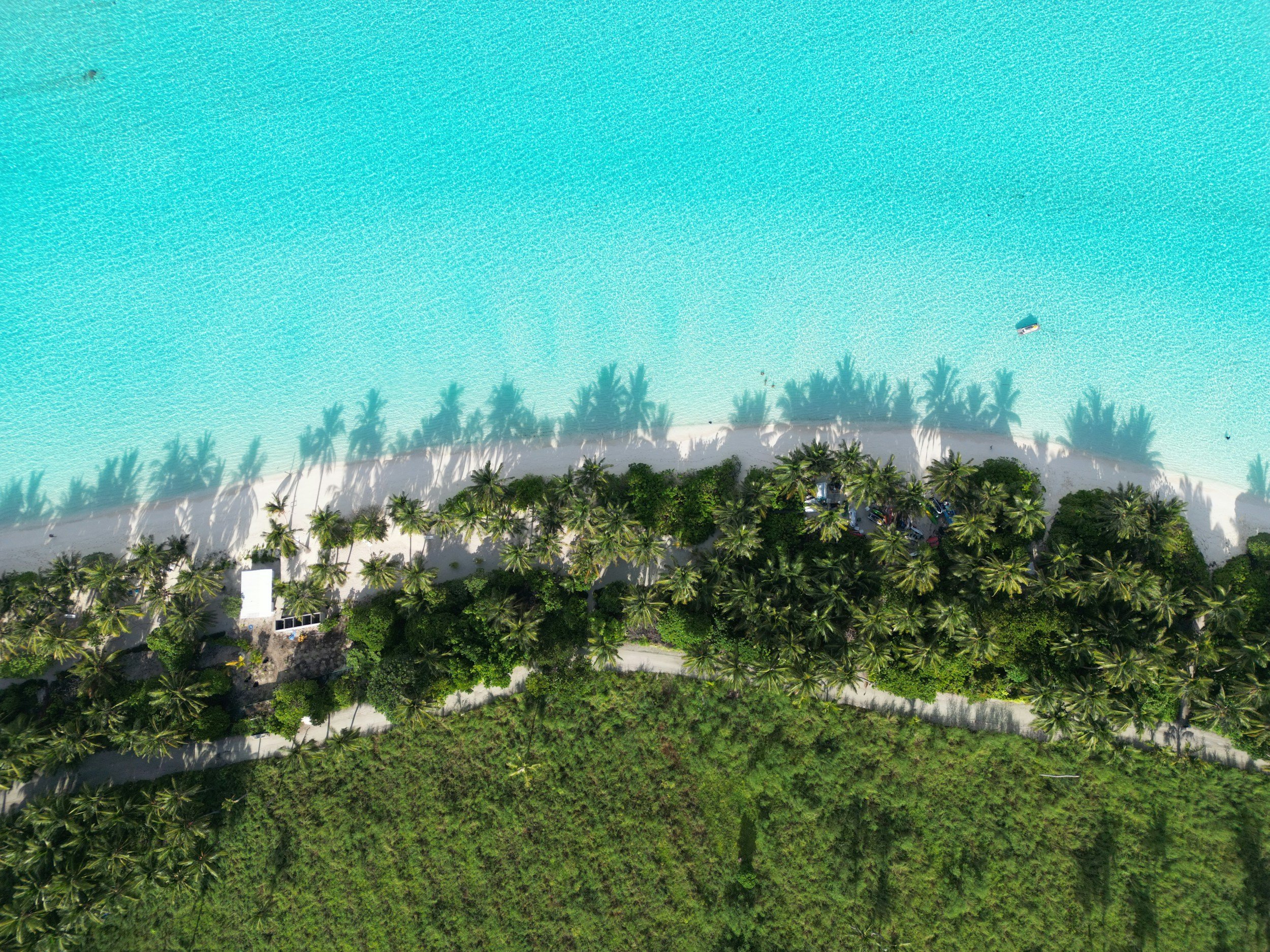 Aerial view of a tropical beach with turquoise water, a white sandy shoreline, and a lush green area with palm trees.