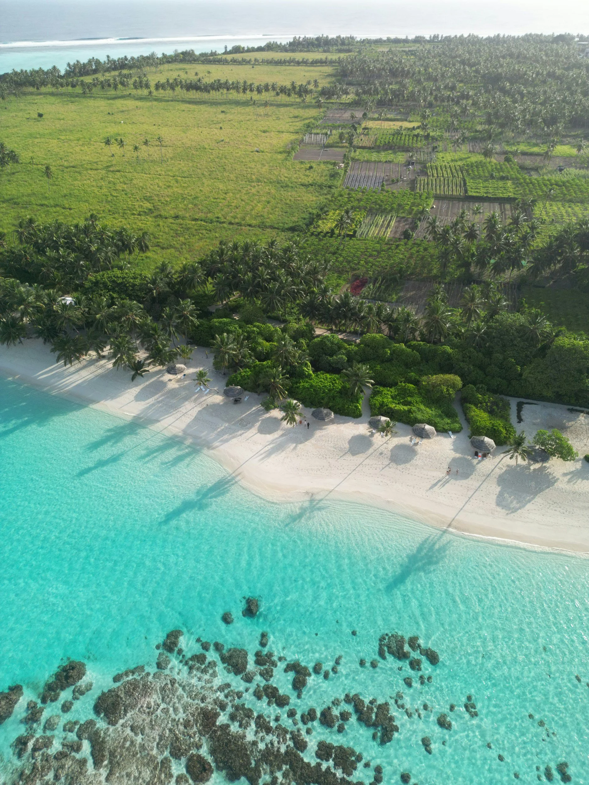Aerial view of a tropical beach with white sand, turquoise water, palm trees, and volcanic rocks in the ocean.
