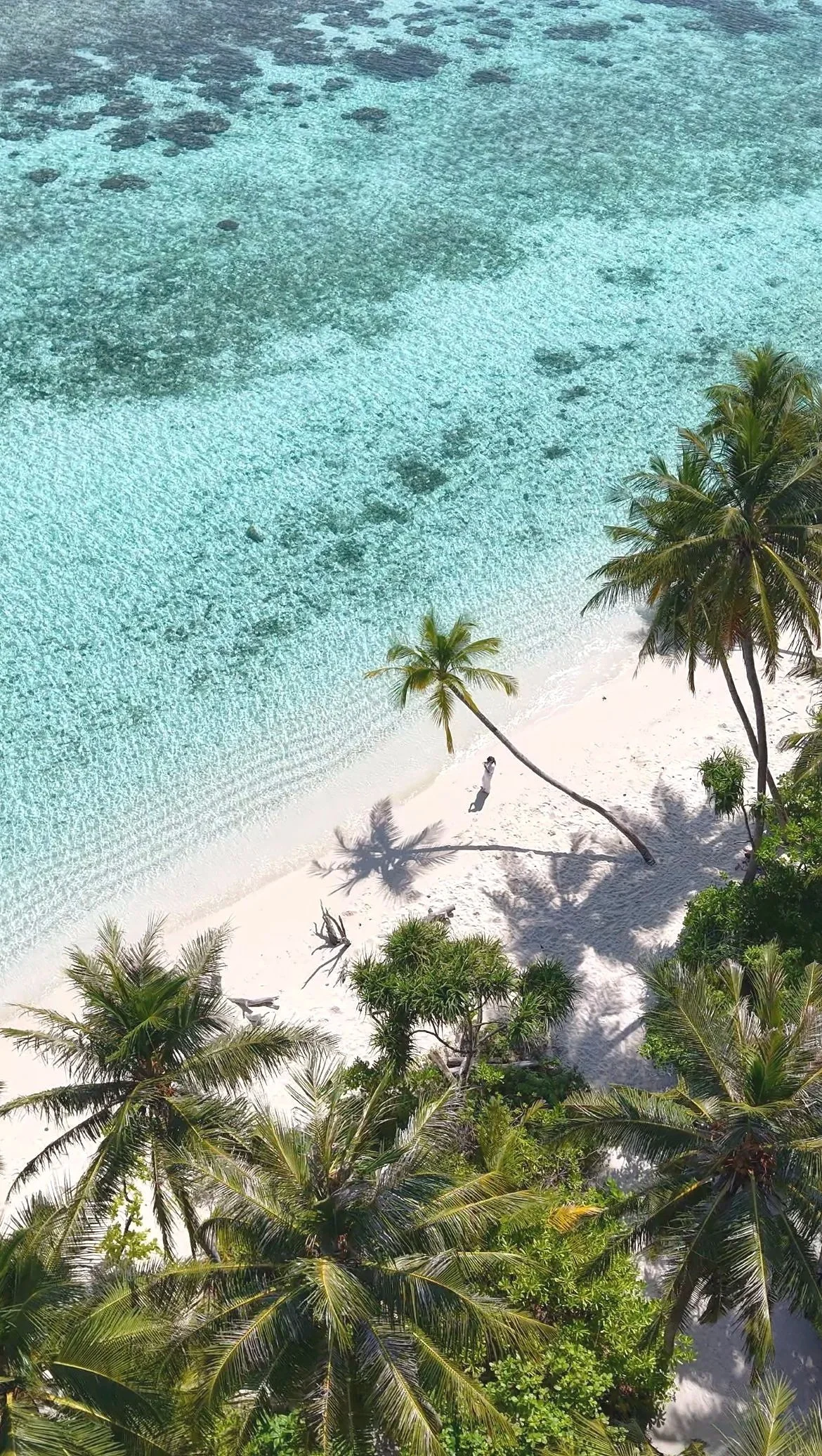 aerial view of a tropical beach with turquoise water, white sand, and palm trees along the shoreline
