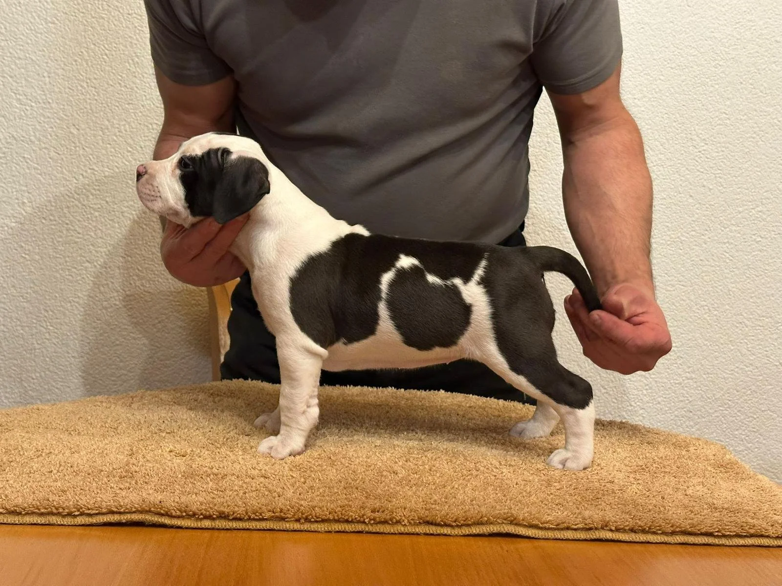 Nimra Ruffian Joannidis