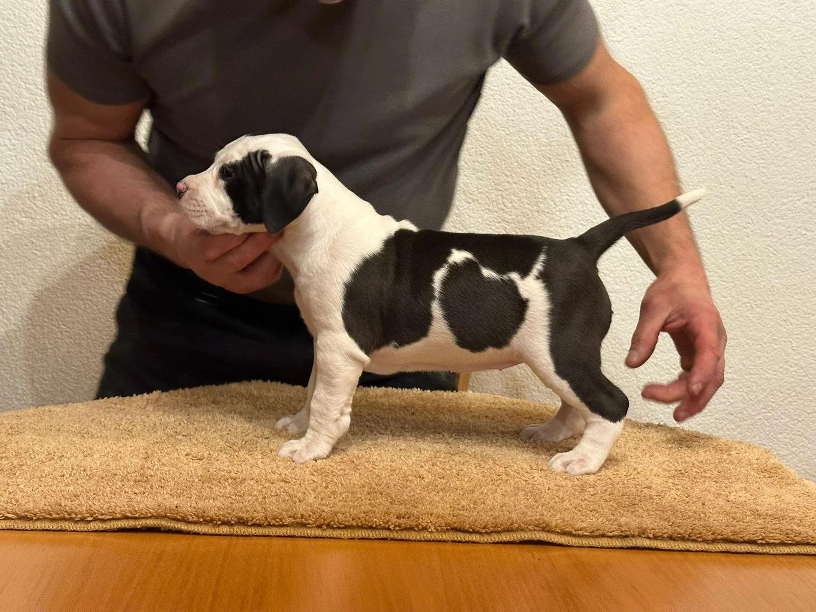 Nimra Ruffian Joannidis