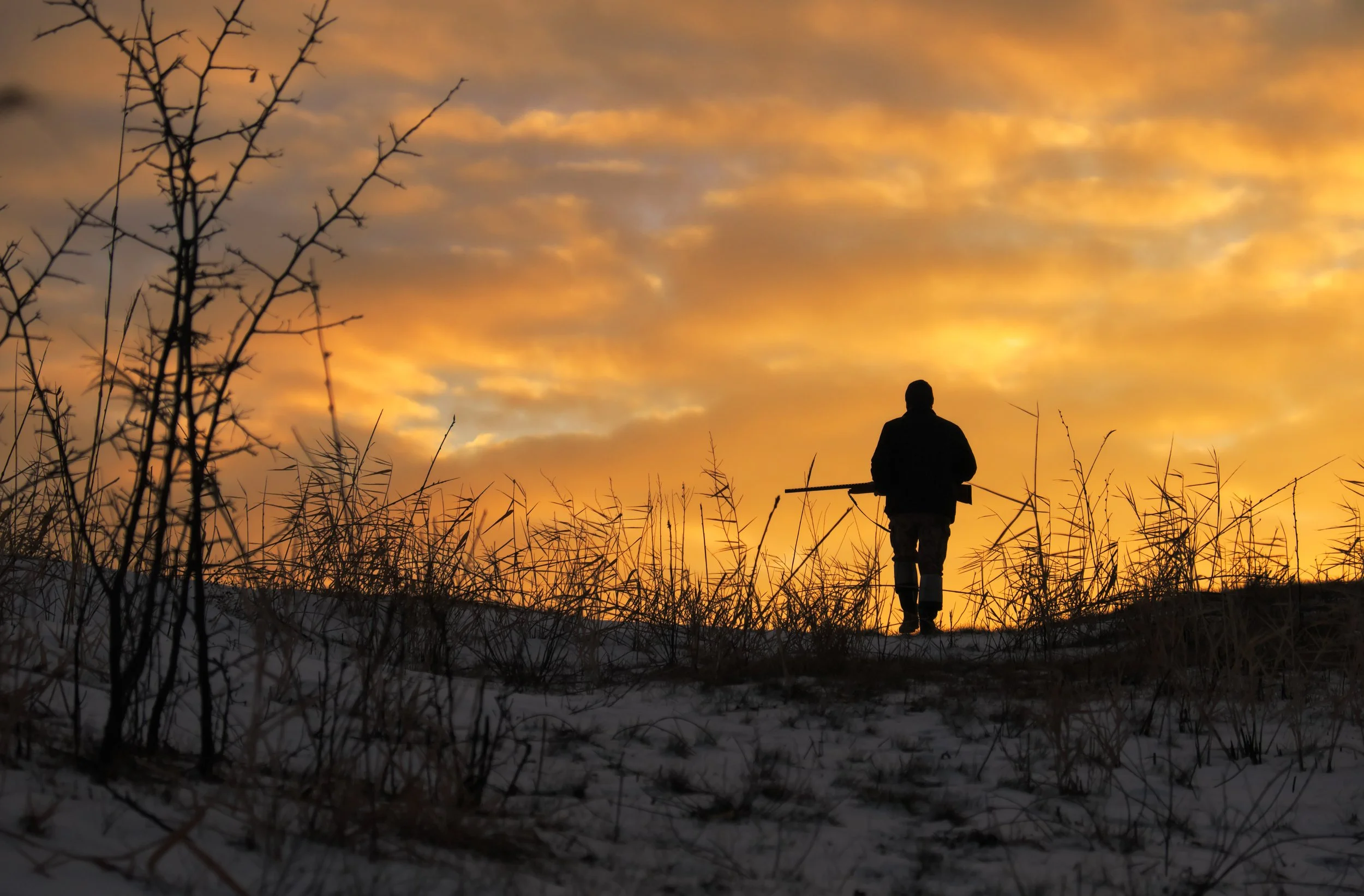 Winter-hunting-at-sunrise.-Hunter-moving-With-Shotgun-and-Looking-For-Prey.-1097181872_5927x3896.jpeg