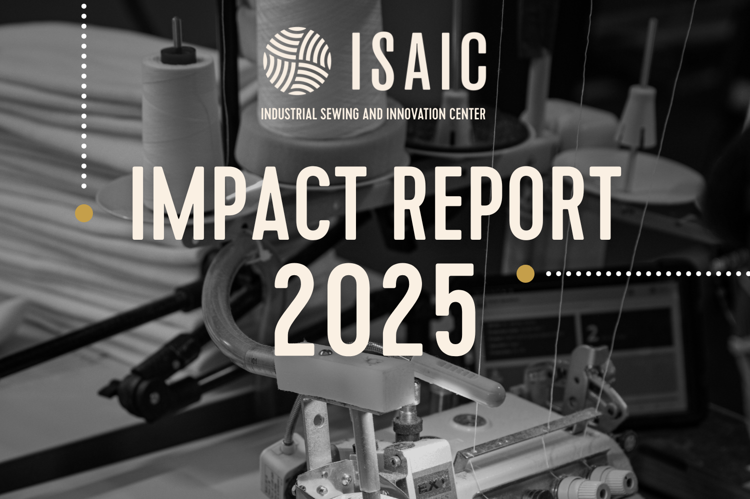 A year worth celebrating: Our 2025 Impact Report is live