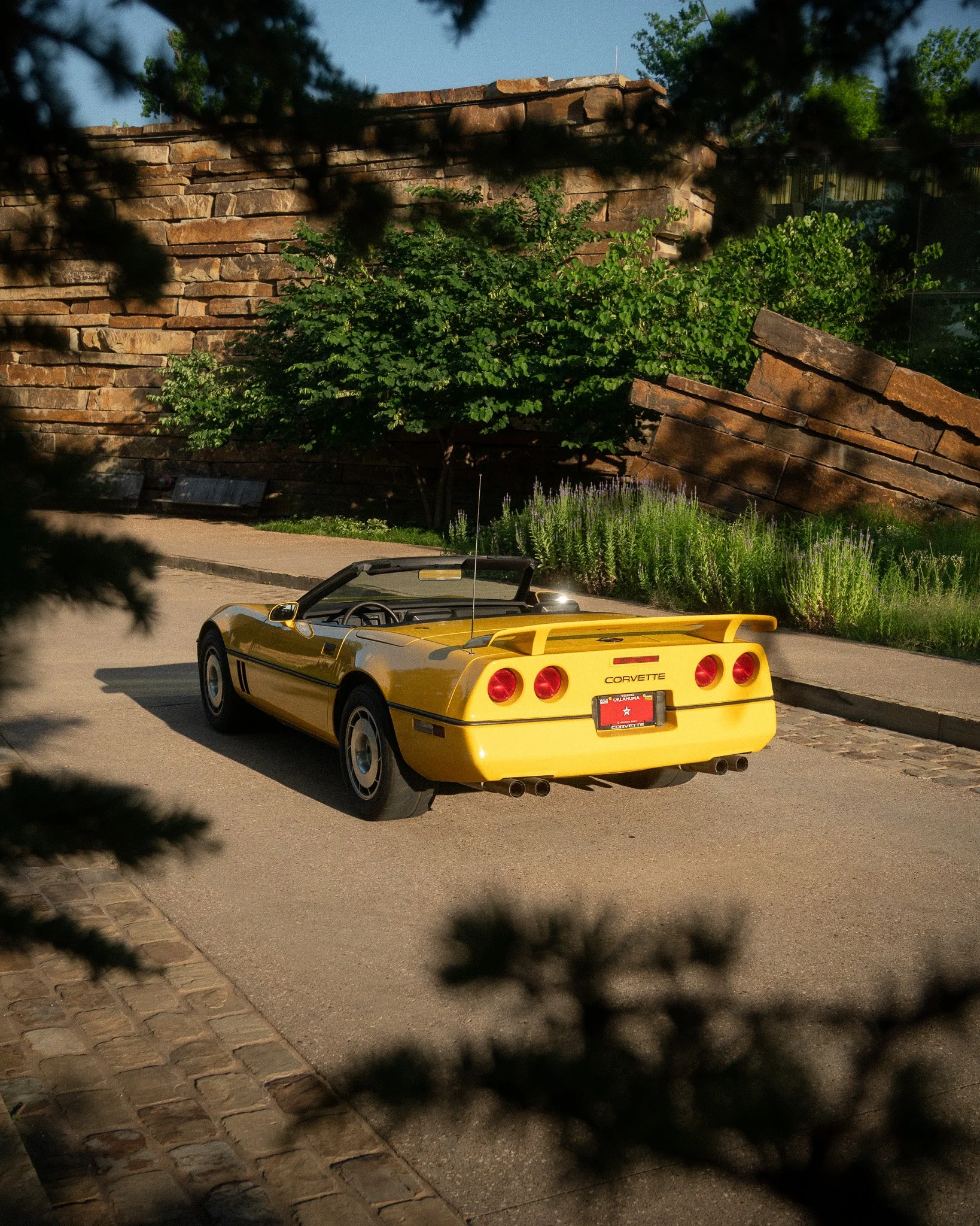A yellow Corvette sports car parked on the street with trees and a stone wall in the background, partially obscured by blurred dark tree branches in the foreground.