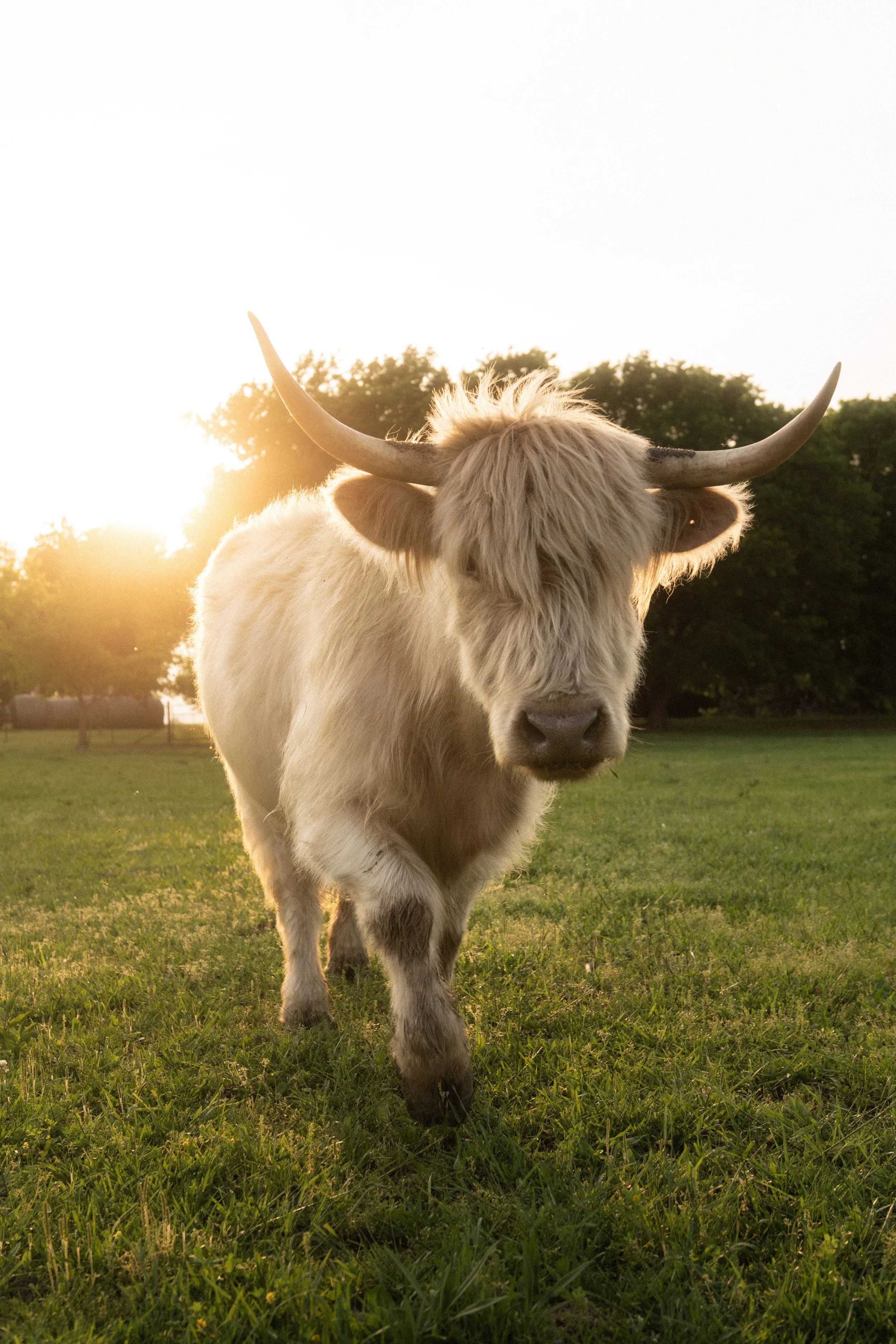 Reed Family Homestead