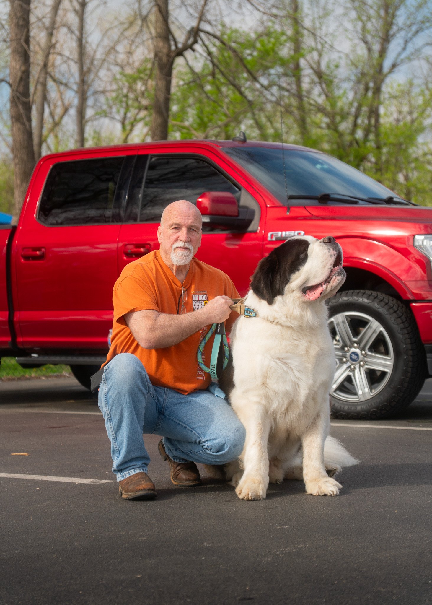 An older man with a white beard and mustache, wearing an orange T-shirt and jeans, kneeling on one knee next to a large Saint Bernard dog with a white and brown coat, in a parking lot with a red pickup truck and trees with beginning green foliage in 