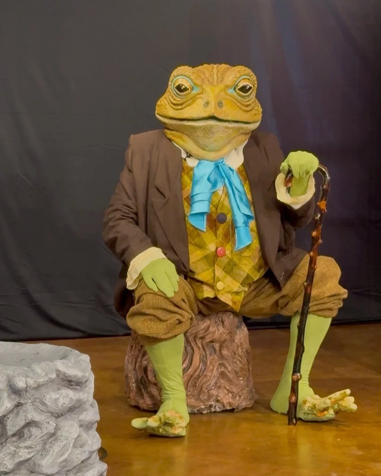 old mr toad costume 