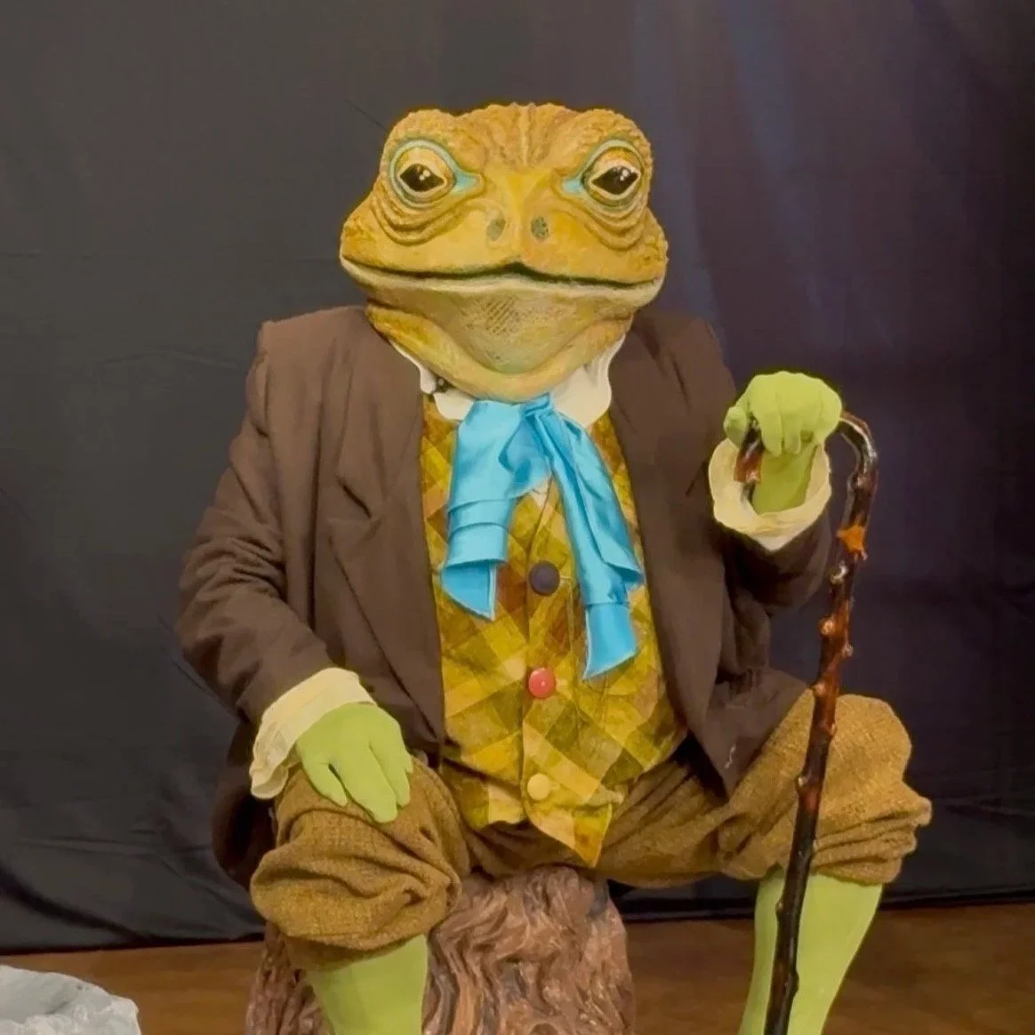 Old Mr. Toad