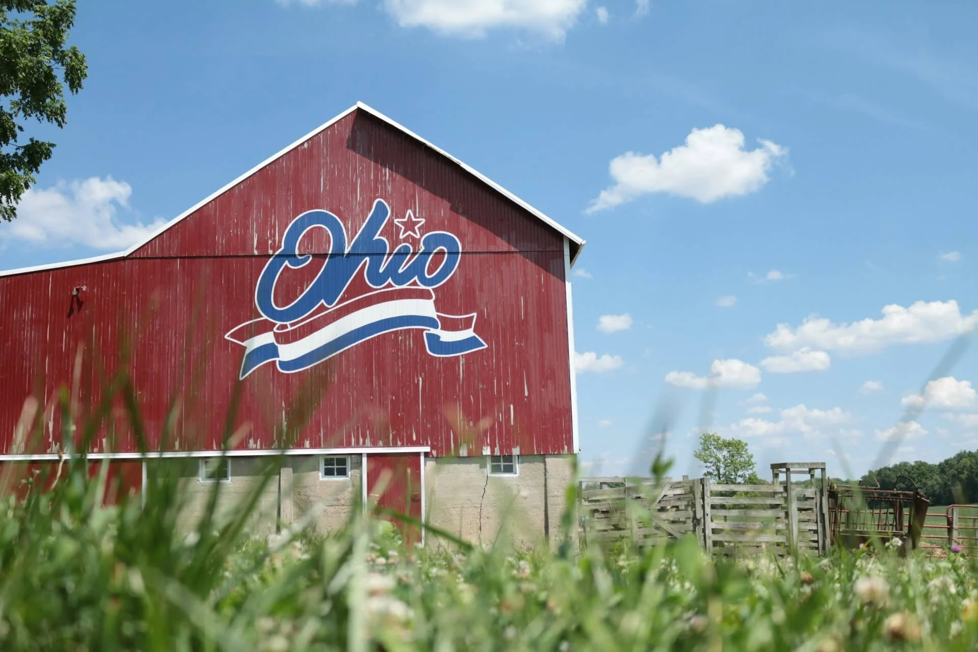 Ohio dairy farm