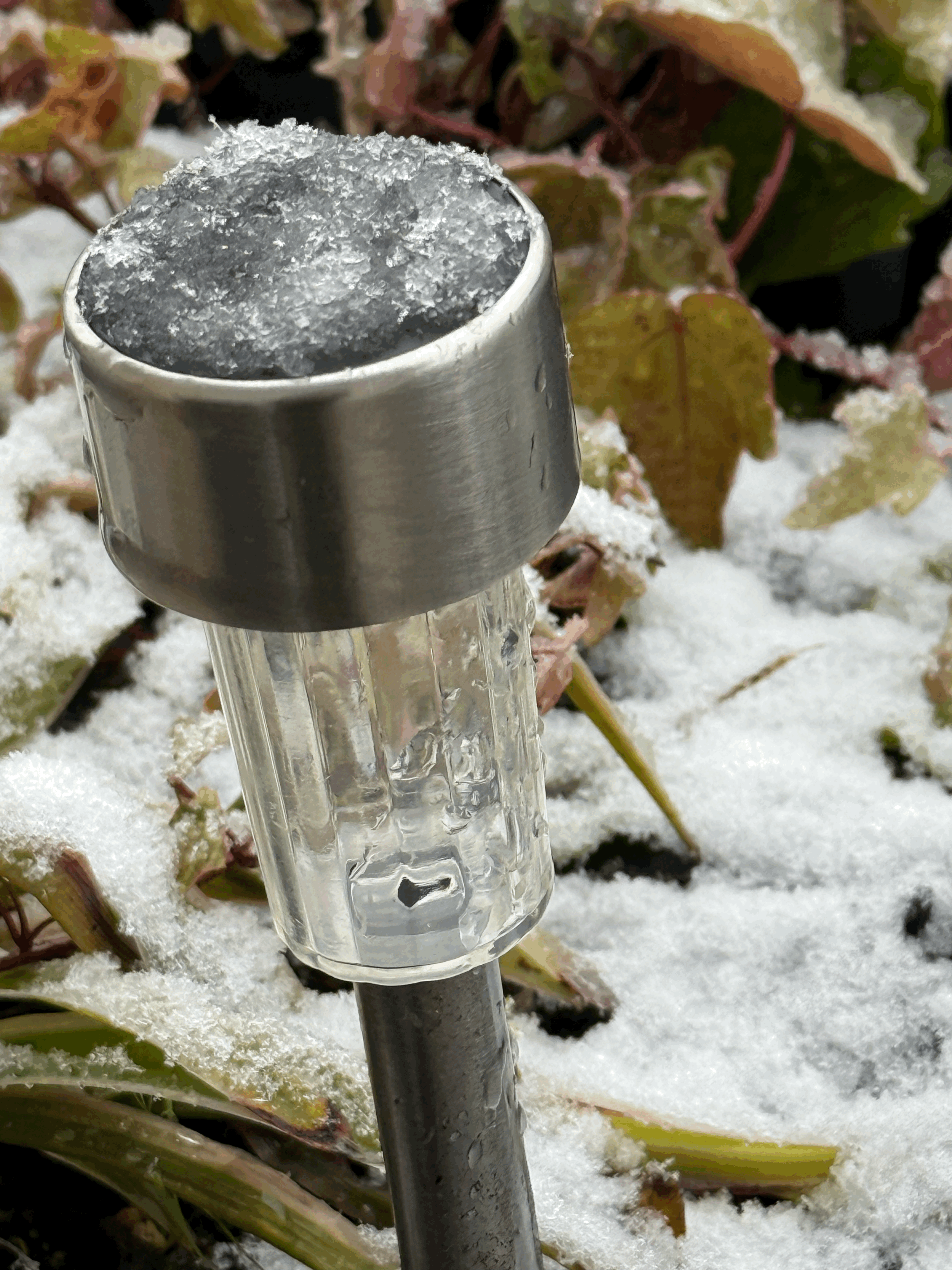 The Lullaby Between Worlds