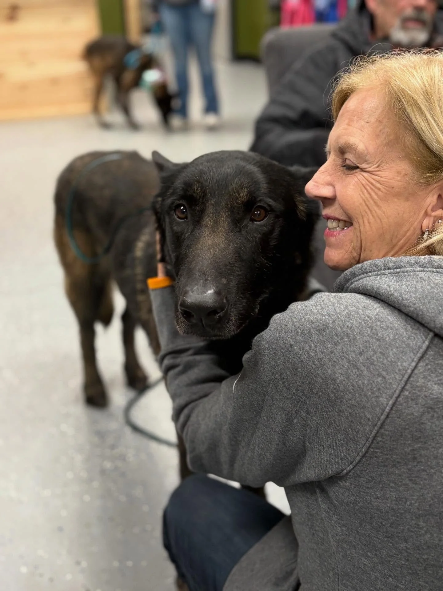 Lobo (Bakersfield stray) and Stevie (Devore euth-list survivor) both found their forever homes today &hearts;️ Crying happy tears! 

Thank you as always to @dogdepot.kingston for hosting us!