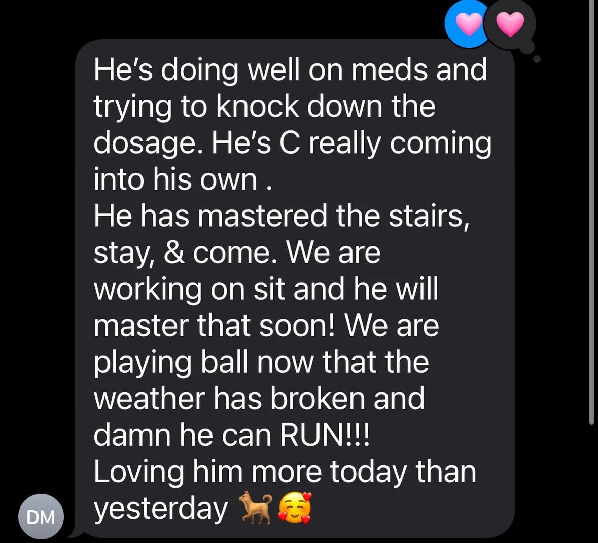 &ldquo;Loving him more today than yesterday&rdquo;

Through the tears, the poop, the behavioral issues, the dogs we couldn&rsquo;t get to in time&hellip;this is why we do what we do ❤️
