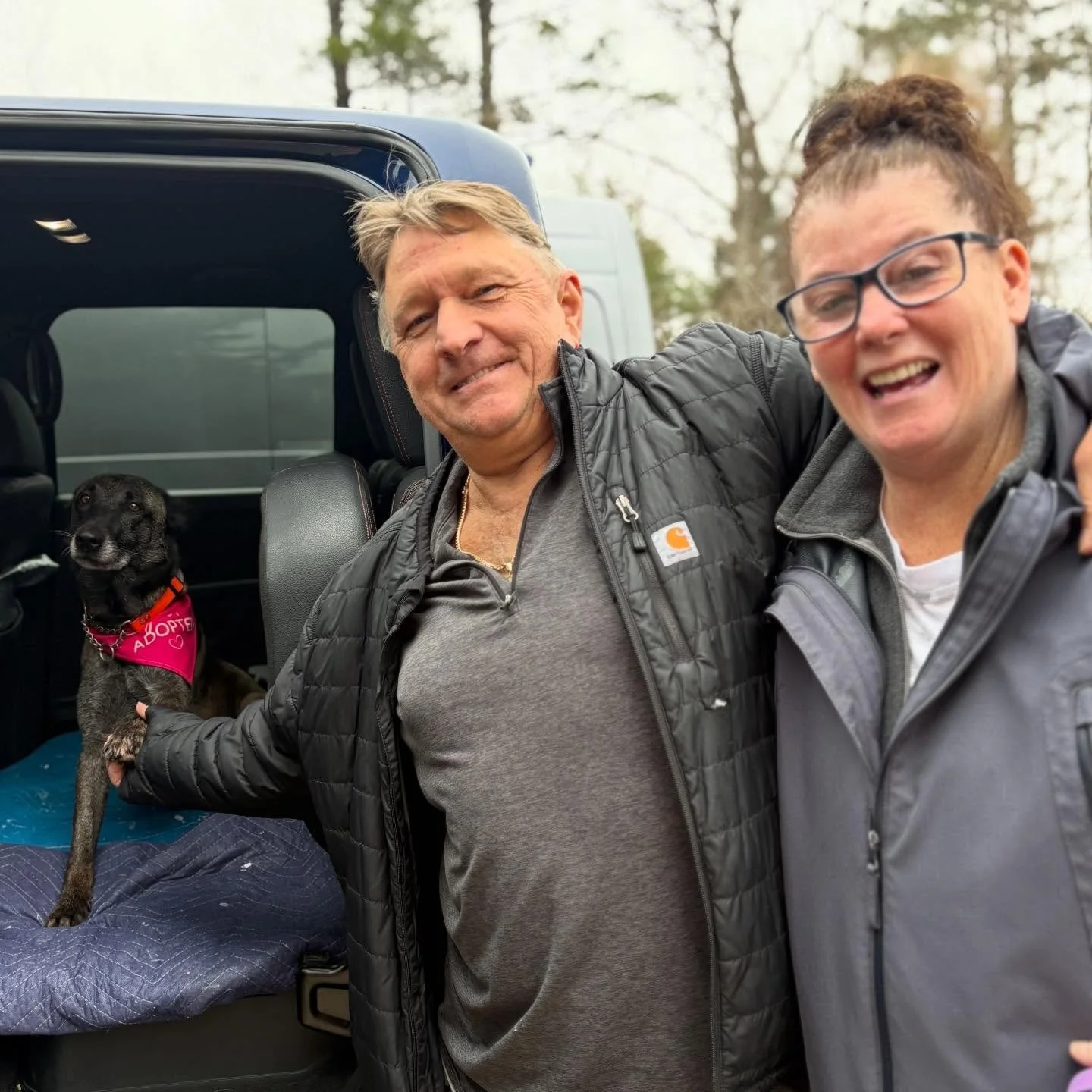 MAREN (SEAACA) has found her forever family! 💌 
Maren was found as a stray and brought to the shelter, still nursing from a litter that was never found 😞 She had horrible burns on her paw pads, and was suspected to have been hit by a car. Because o