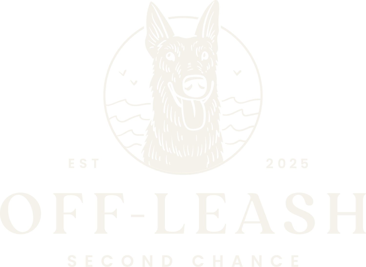 Off-Leash Second Chance
