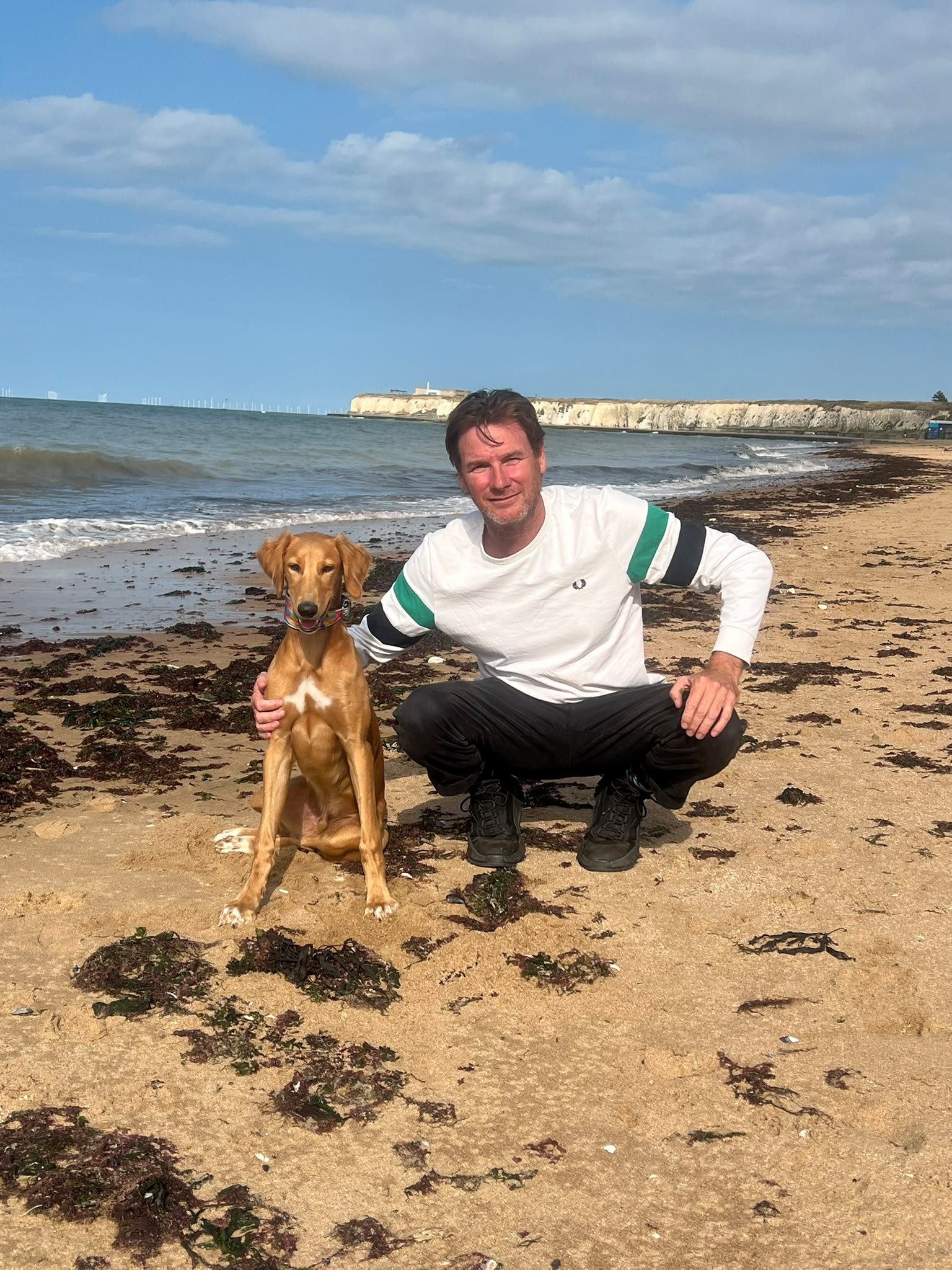 A young light-brown lurcher sits on the beach next to man in a white top, with the sea in the background