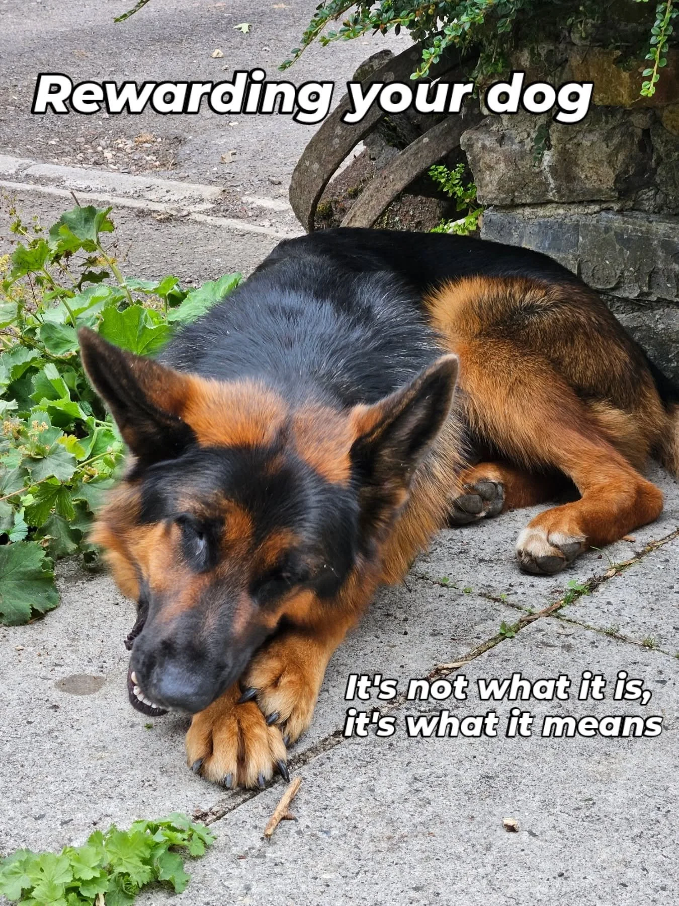 We can create a cascade of rewarding consequences for our dogs for following our cues.

&quot;Come&quot; - Touch collar - Praise - Treat - &quot;Go play&quot;

With repetition, these reinforcers 'bleed' backwards, until eventually touching your dog's