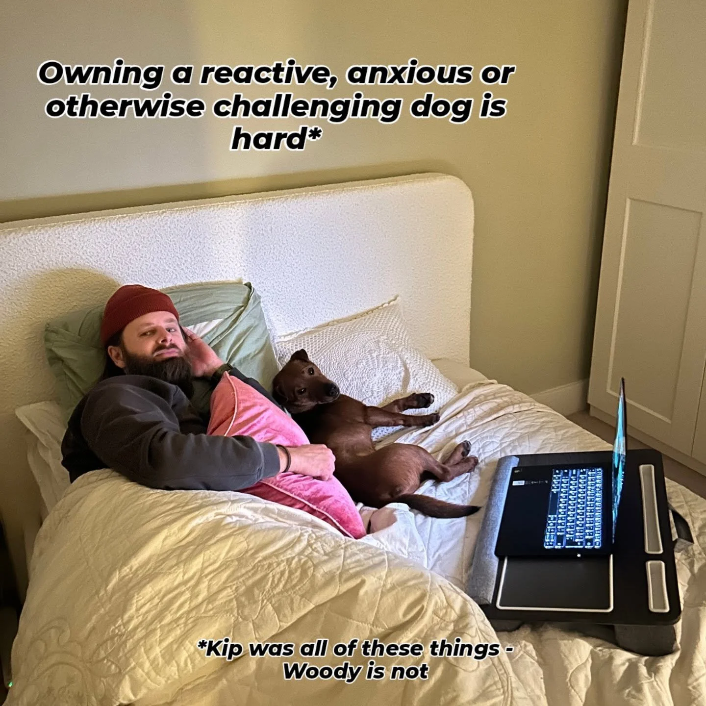 ❌ Being on constant lookout for triggers, waking up early to avoid busy times, feelings of embarrassment at our dog's behaviour, dejection at the latest training setback, and even social isolation as we put our dog's needs ahead of our own - none of 