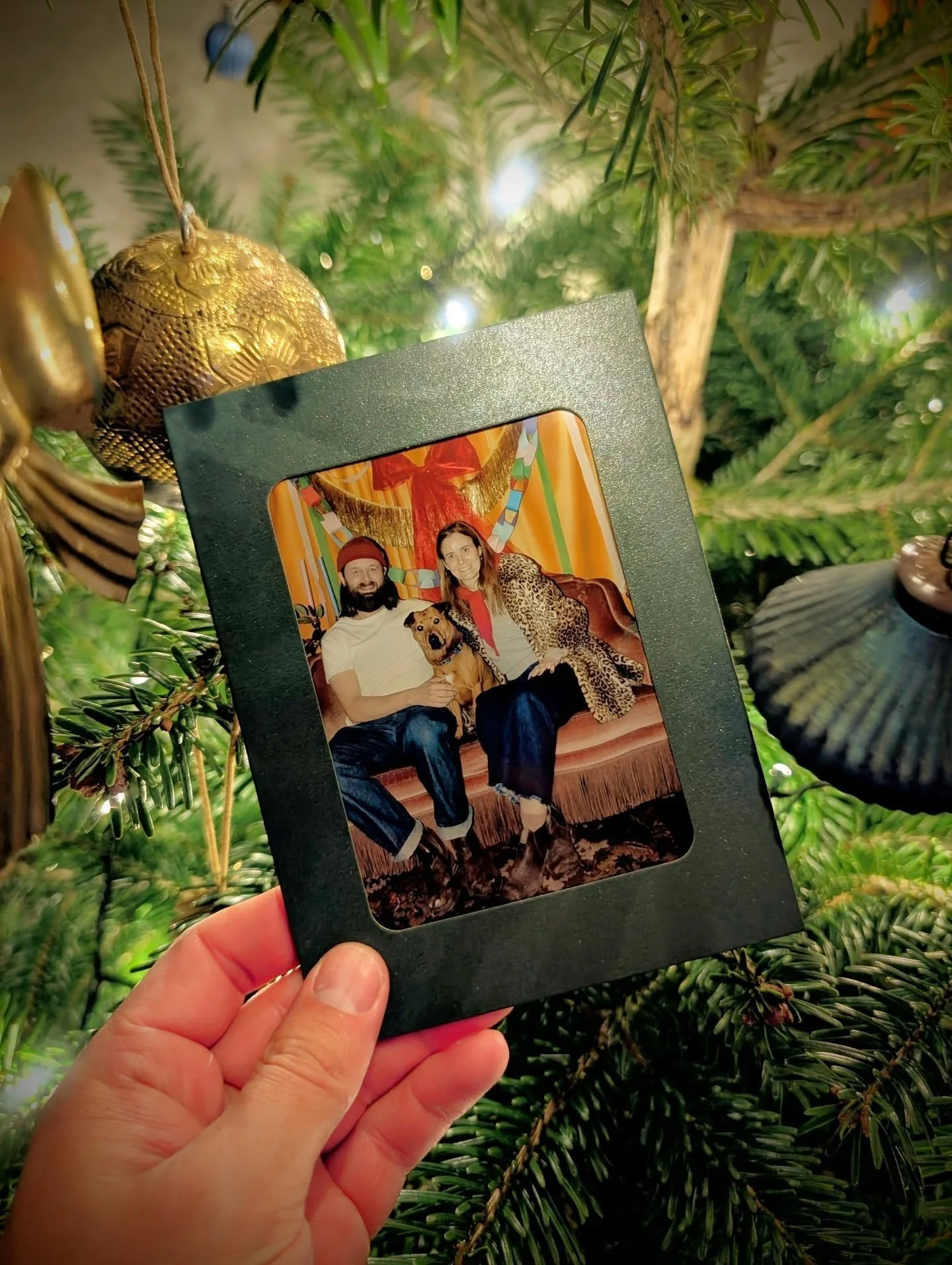 ​And that&rsquo;s a wrap on 2025! 🎬 Happy Christmas from me and mine to you and yours.

​Since starting this journey in August, I&rsquo;ve had the pleasure of working with over 40 incredible owners and their dogs, and I've loved every minute of it ?