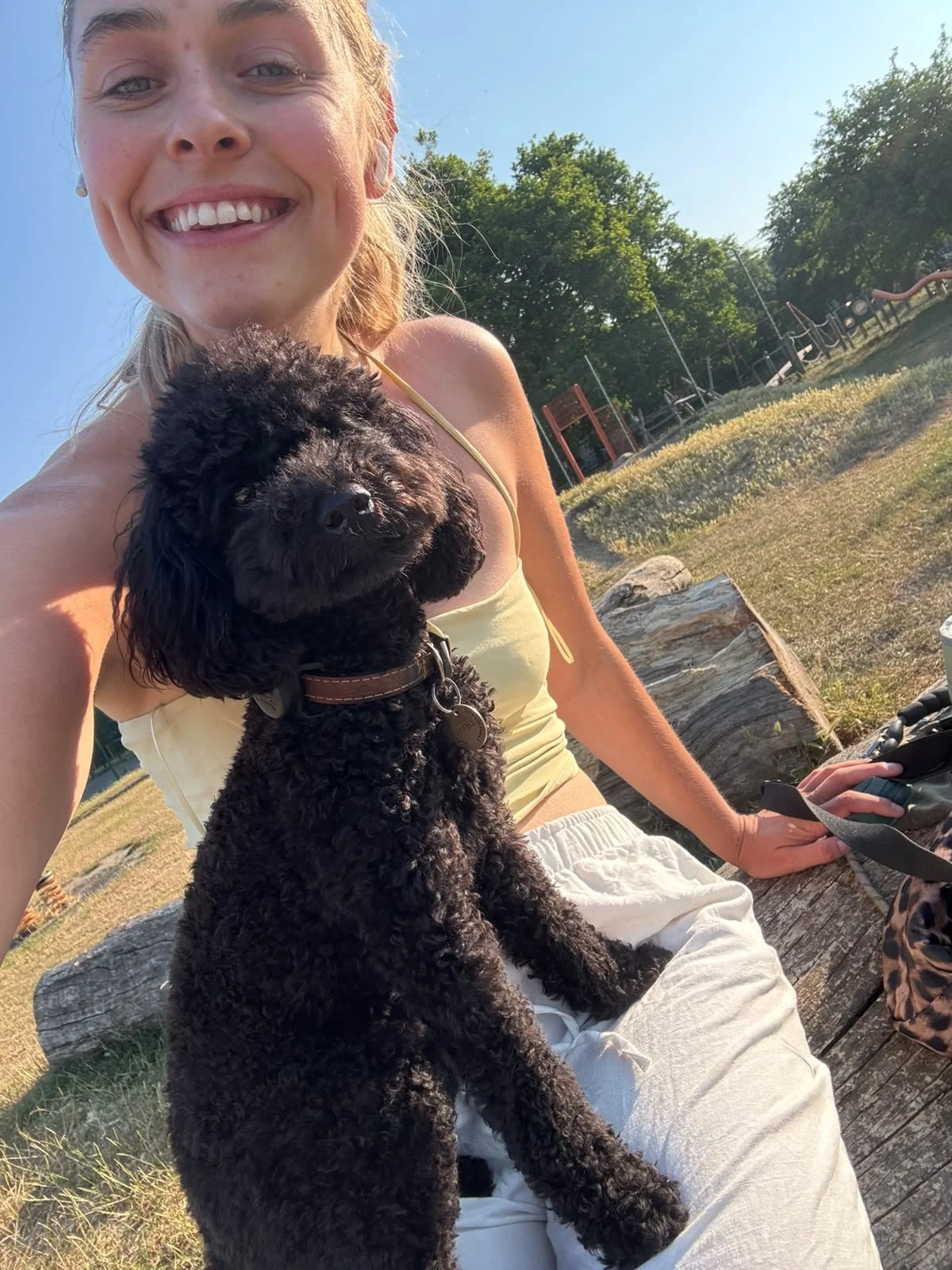 A small black dog sits on the lap of their human in a park