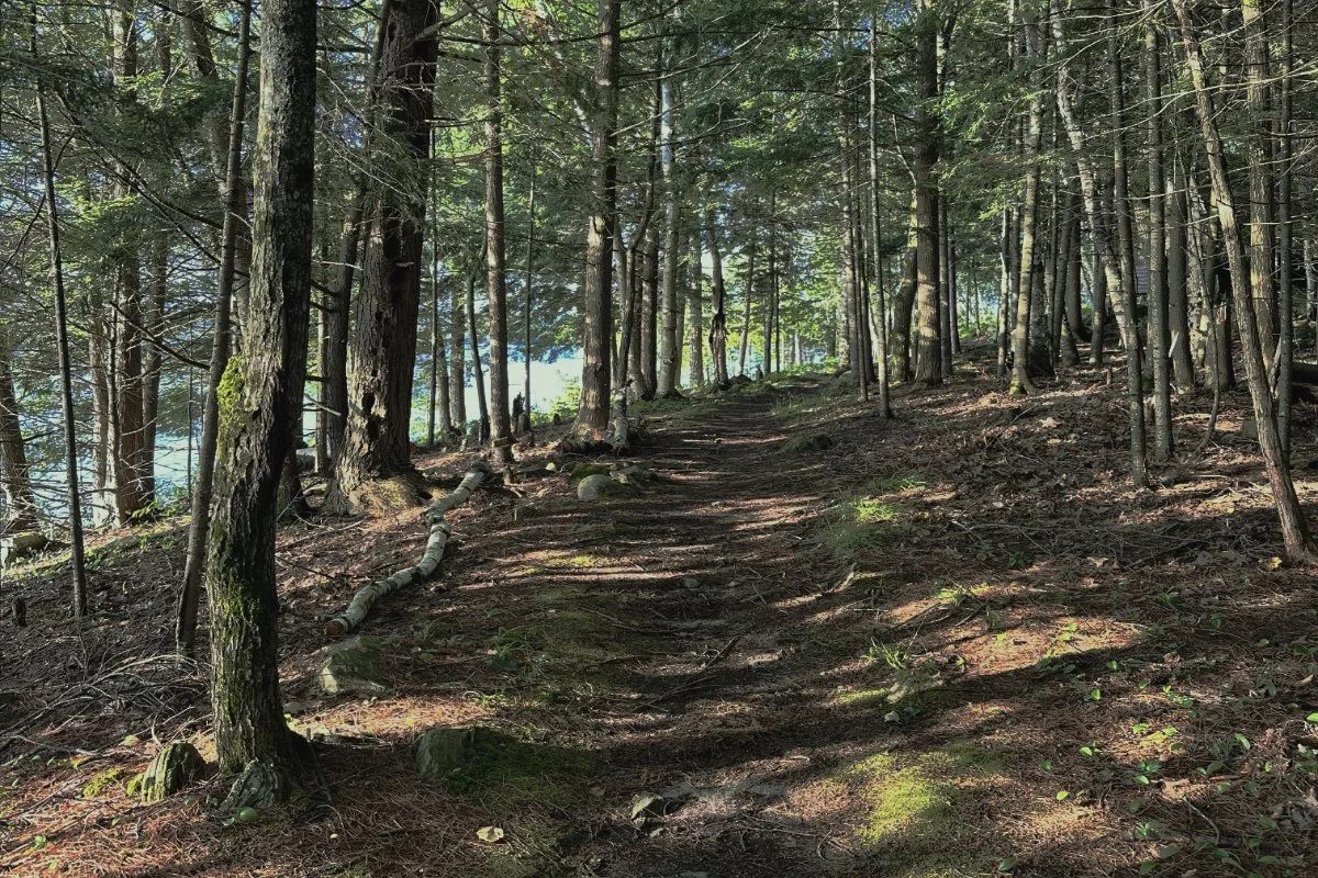 Reclaiming Outside, Rescuing the ‘Indoor Generation’