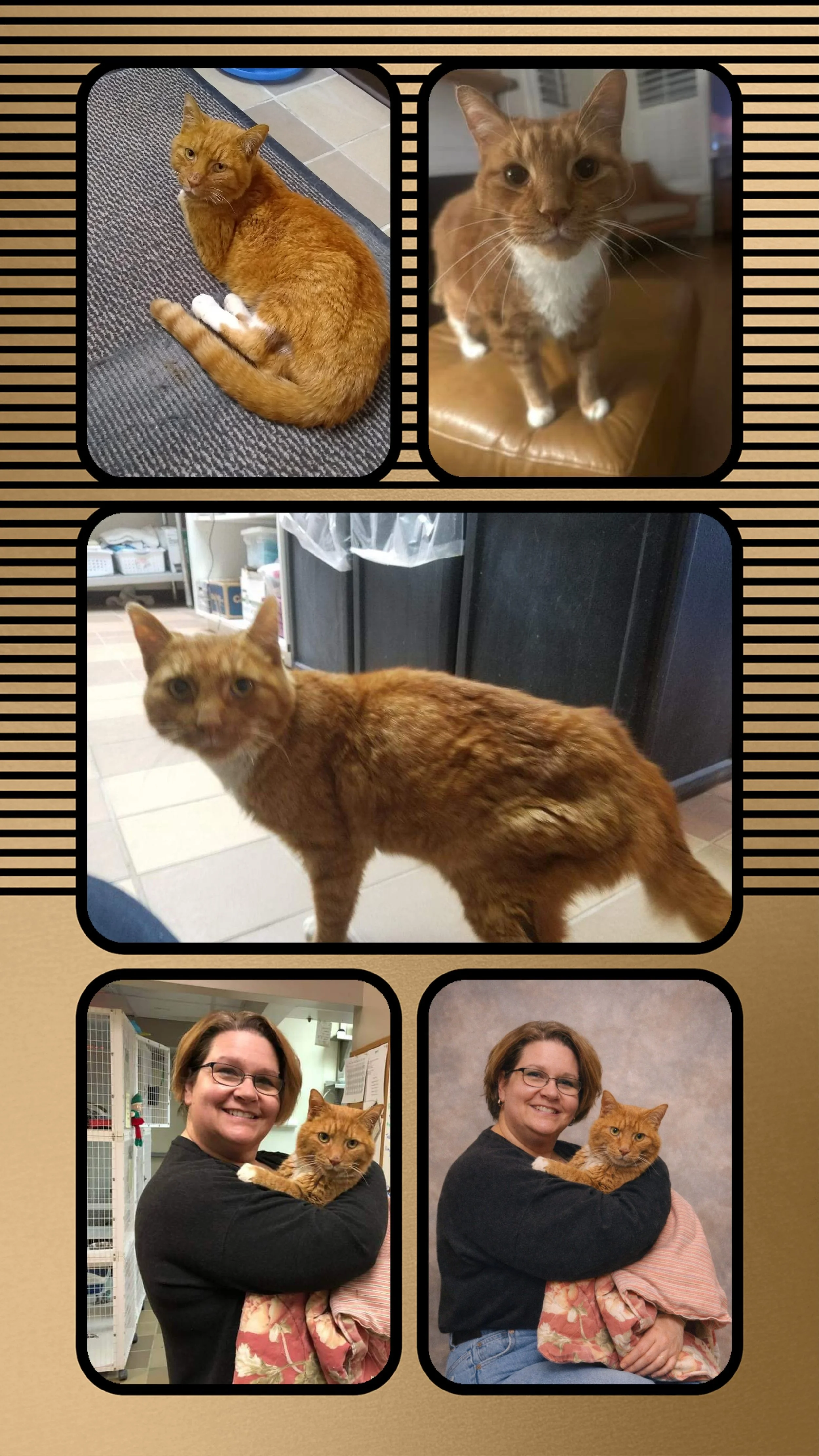 20260330_114135-COLLAGE.jpg