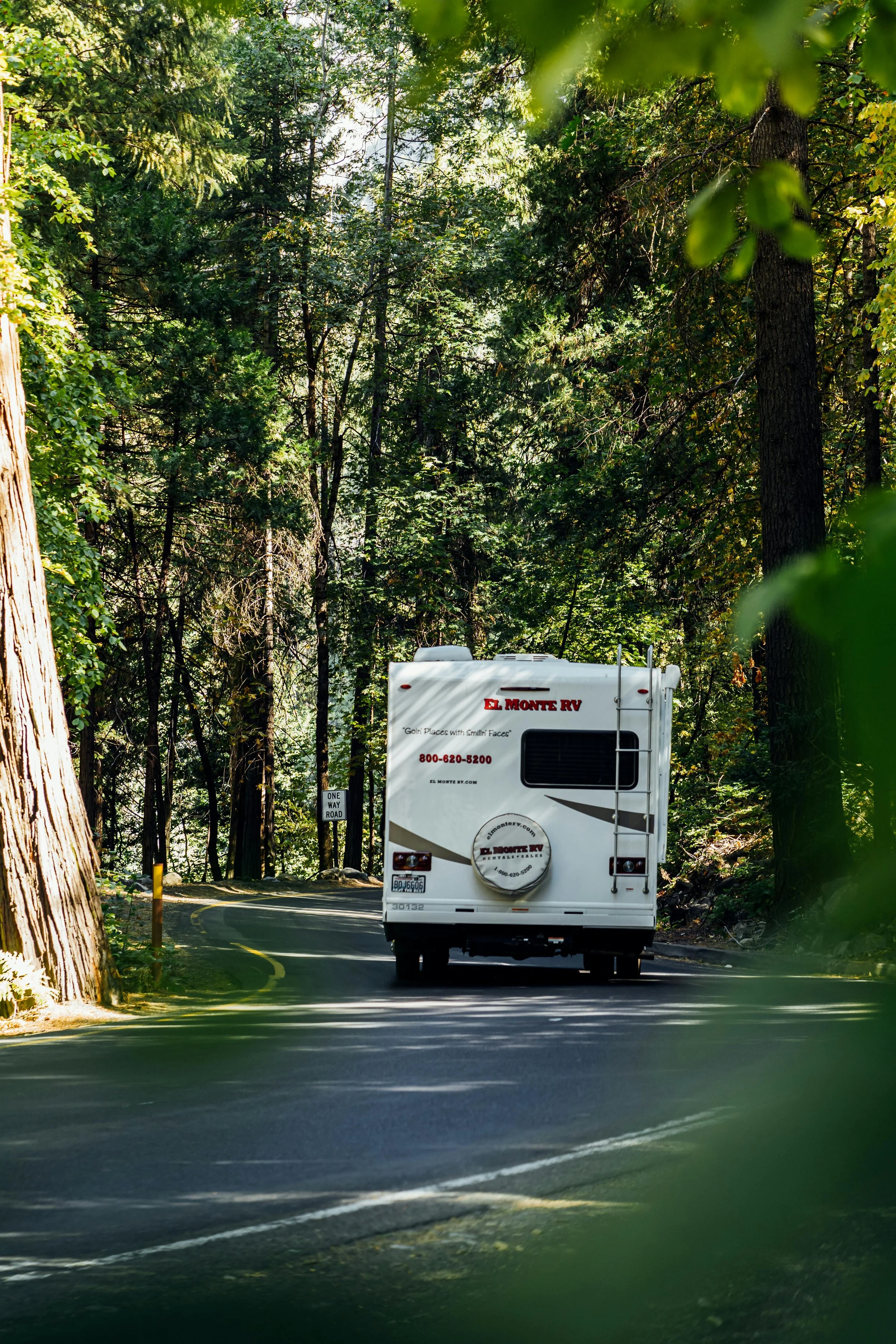 A white RV driving on a winding road through a forest with tall trees and green foliage.