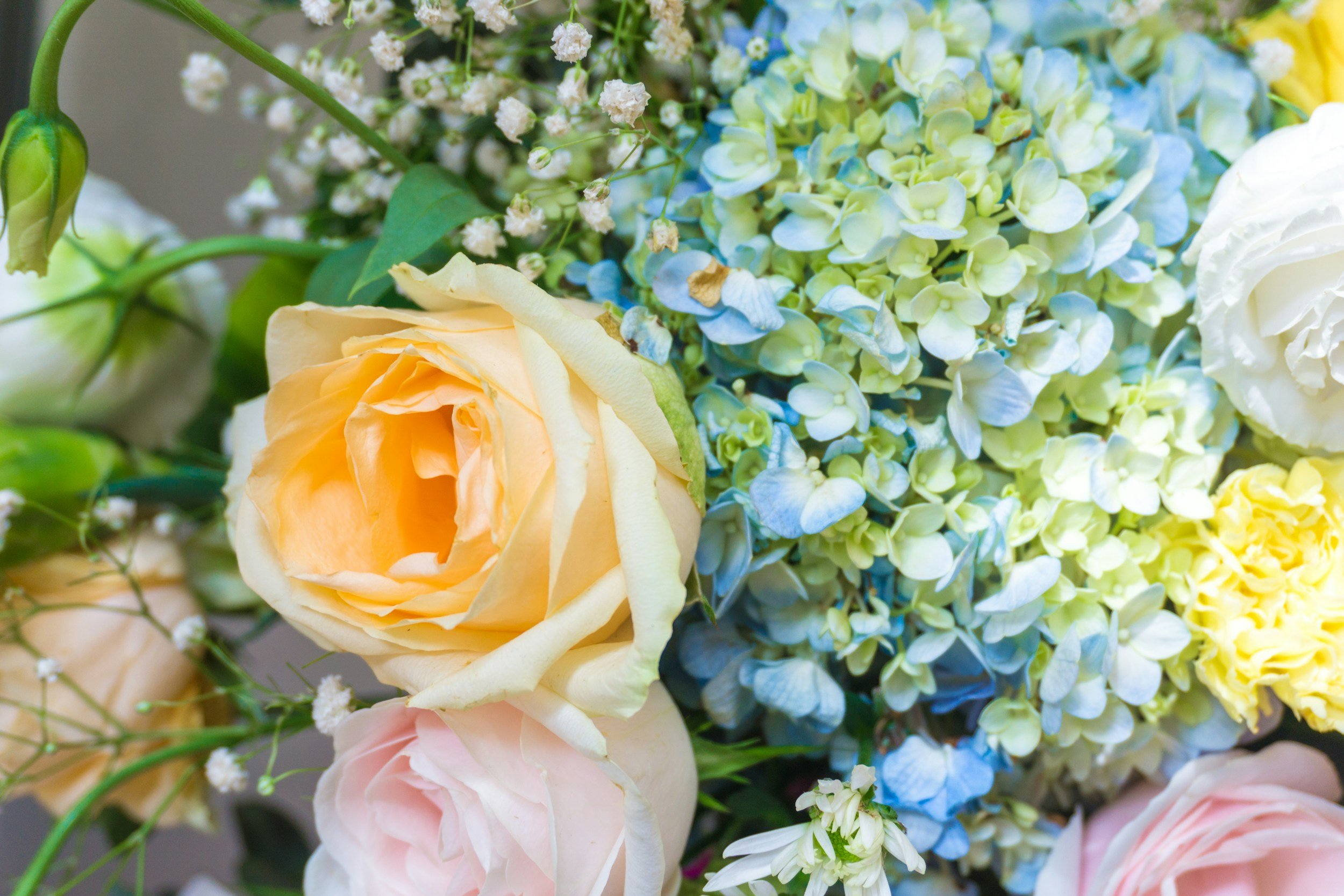 Close-up of a bouquet of mixed flowers including a yellow rose, light pink and cream roses, and light blue and white hydrangeas.