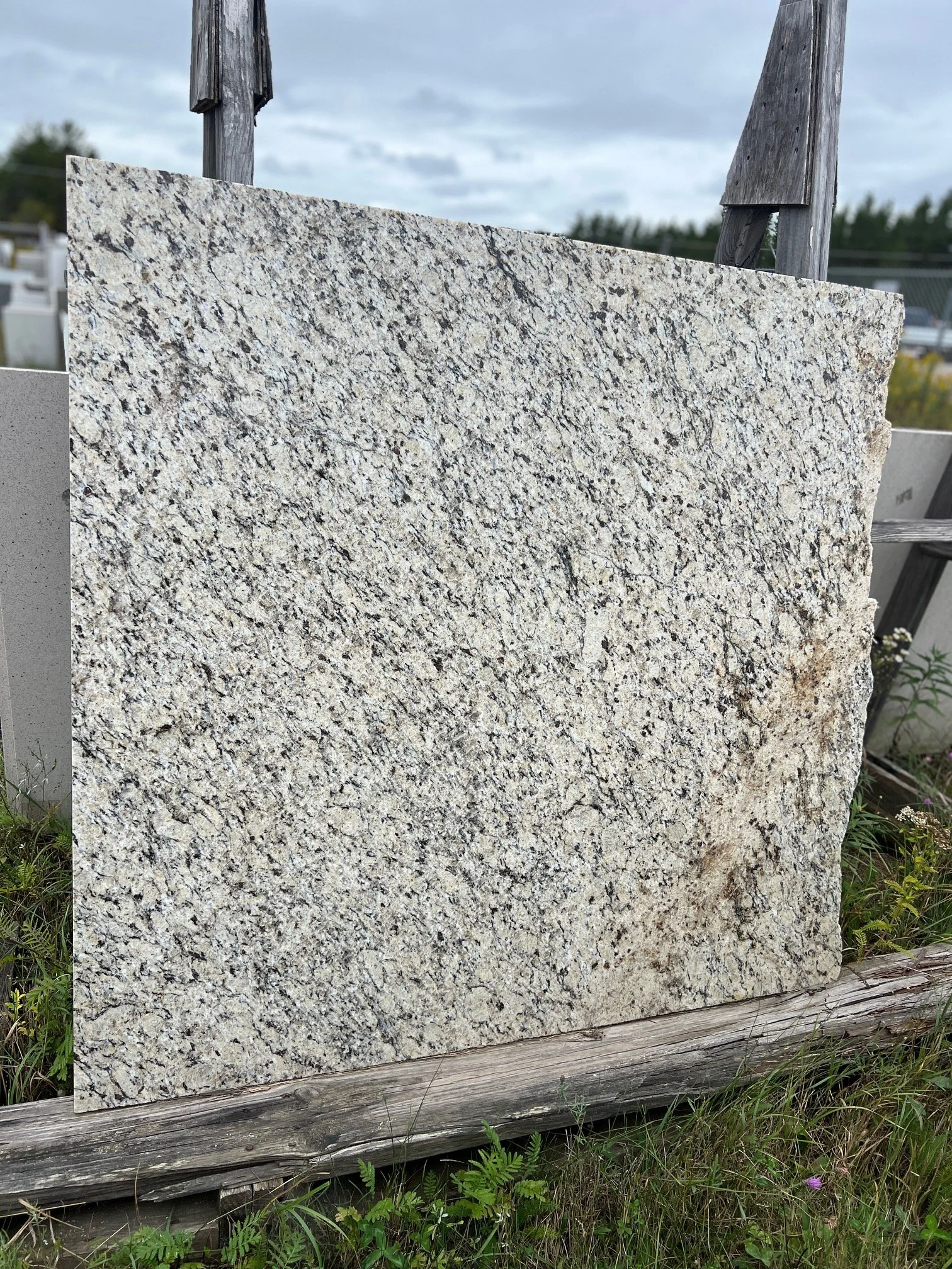 Giallo Ornamental Granite Polished Finish - 49"x48"
