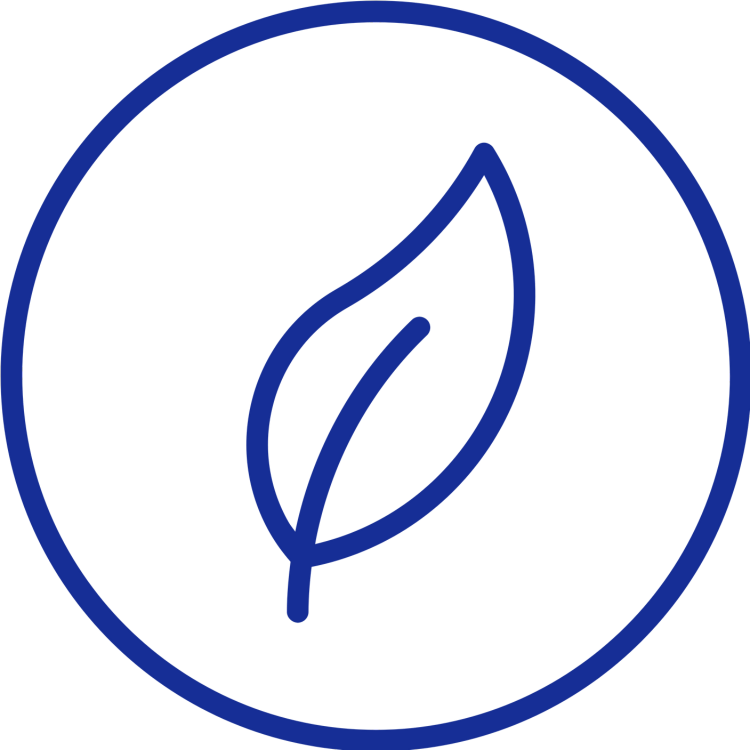 Icon eines Blattes als Symbol für ökologische Reinigung