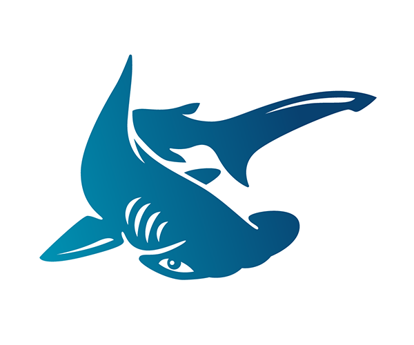 Hammerhead_2.png