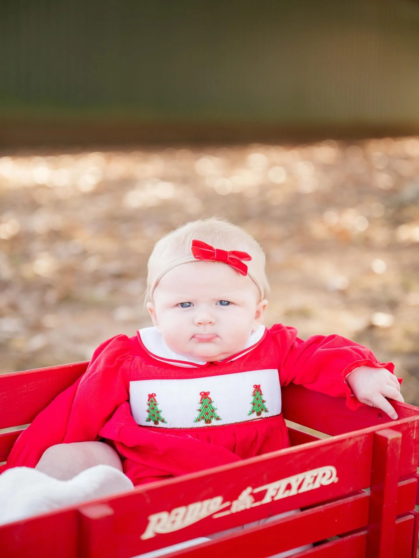 Wishing a Merry Christmas to each of you! This year has been truly remarkable, especially with the arrival of our precious Harper Elizabeth. We are so thankful for her and for each of you&mdash;our wonderful clients, whether buying or building thank 